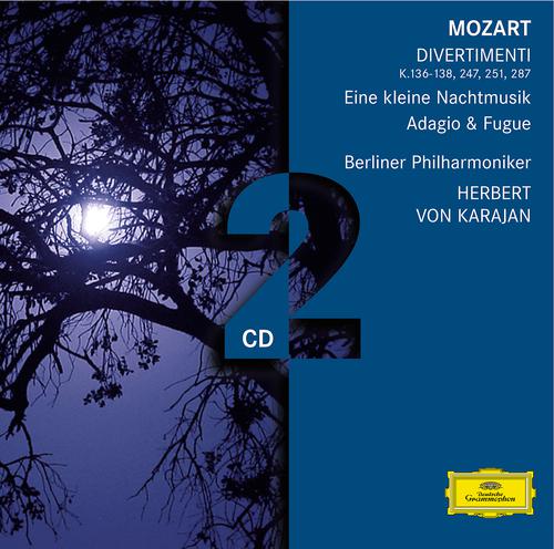 Постер альбома Mozart: Divertimenti
