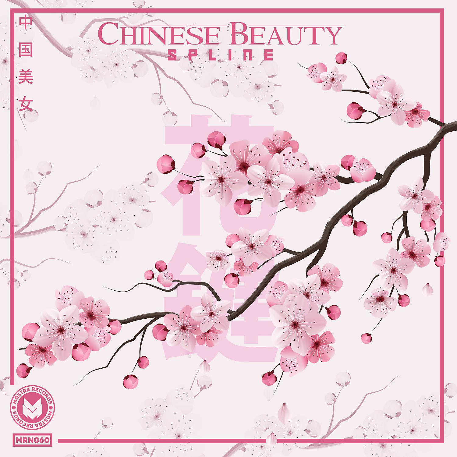 Постер альбома Chinese Beauty