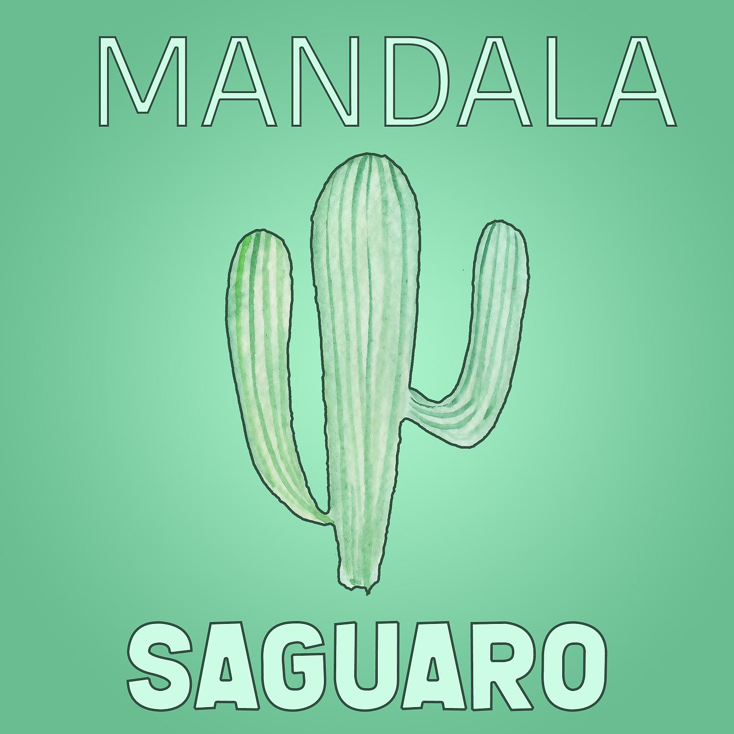 Постер альбома Saguaro