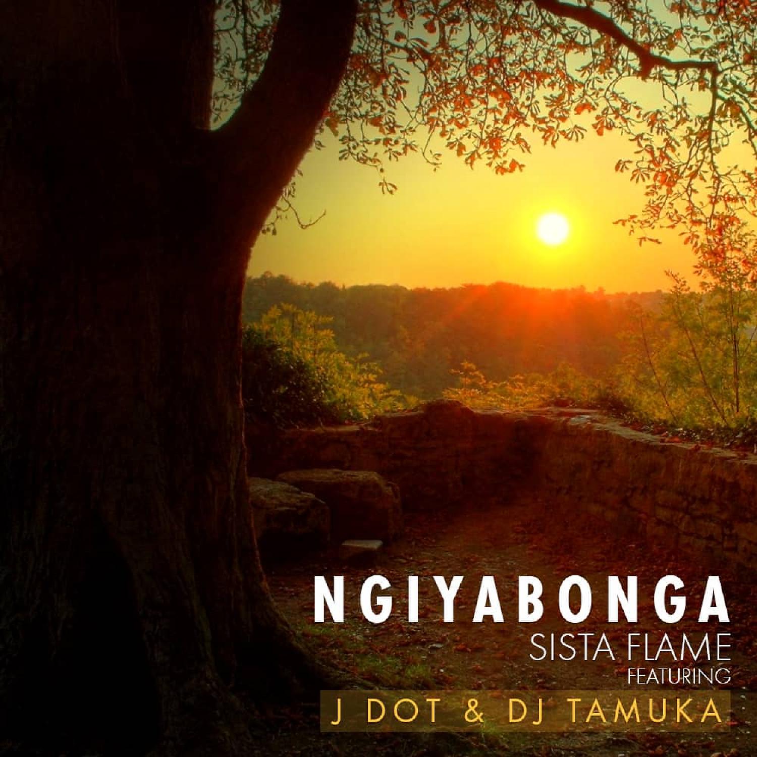 Постер альбома Ngiyabonga (feat. Jdot & Dj Tamuka)