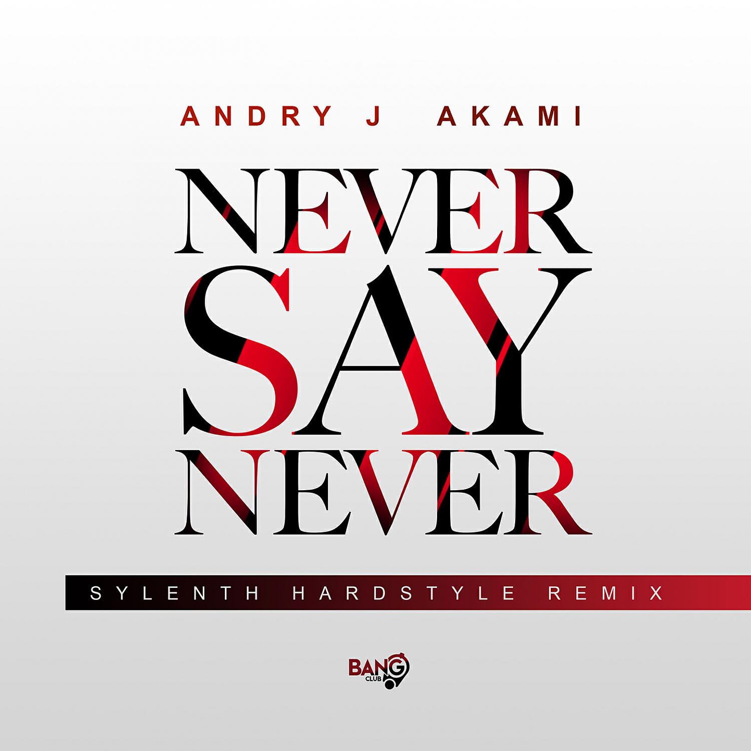 Andry J - Never Say Never (Sylenth Remix)