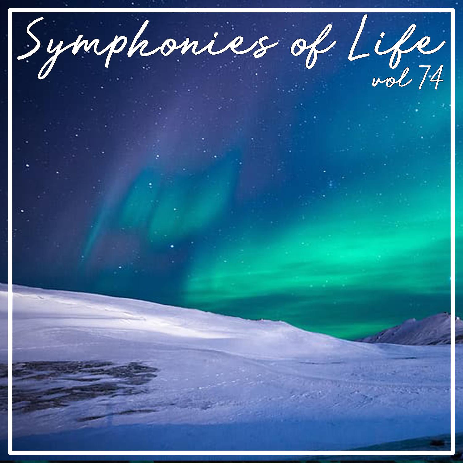 Постер альбома Symphonies of Life, Vol. 74 - Schnittke; Film Music