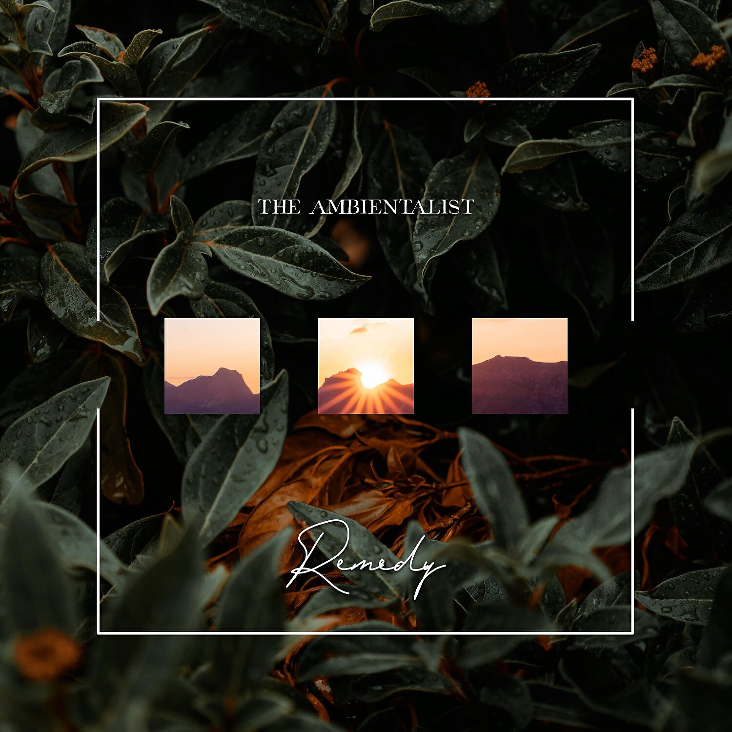 The Ambientalist - Remedy