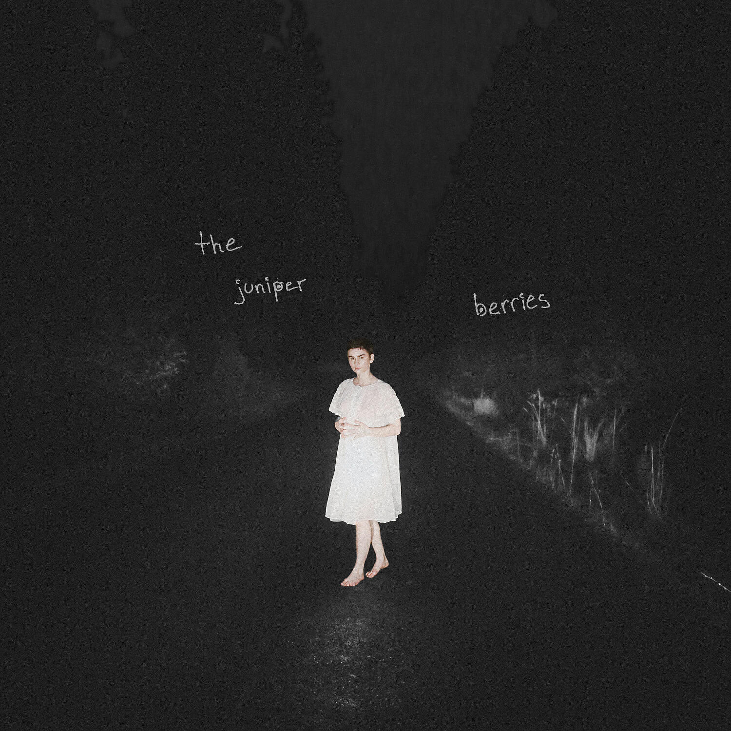 The Juniper Berries - Plastic Fangs