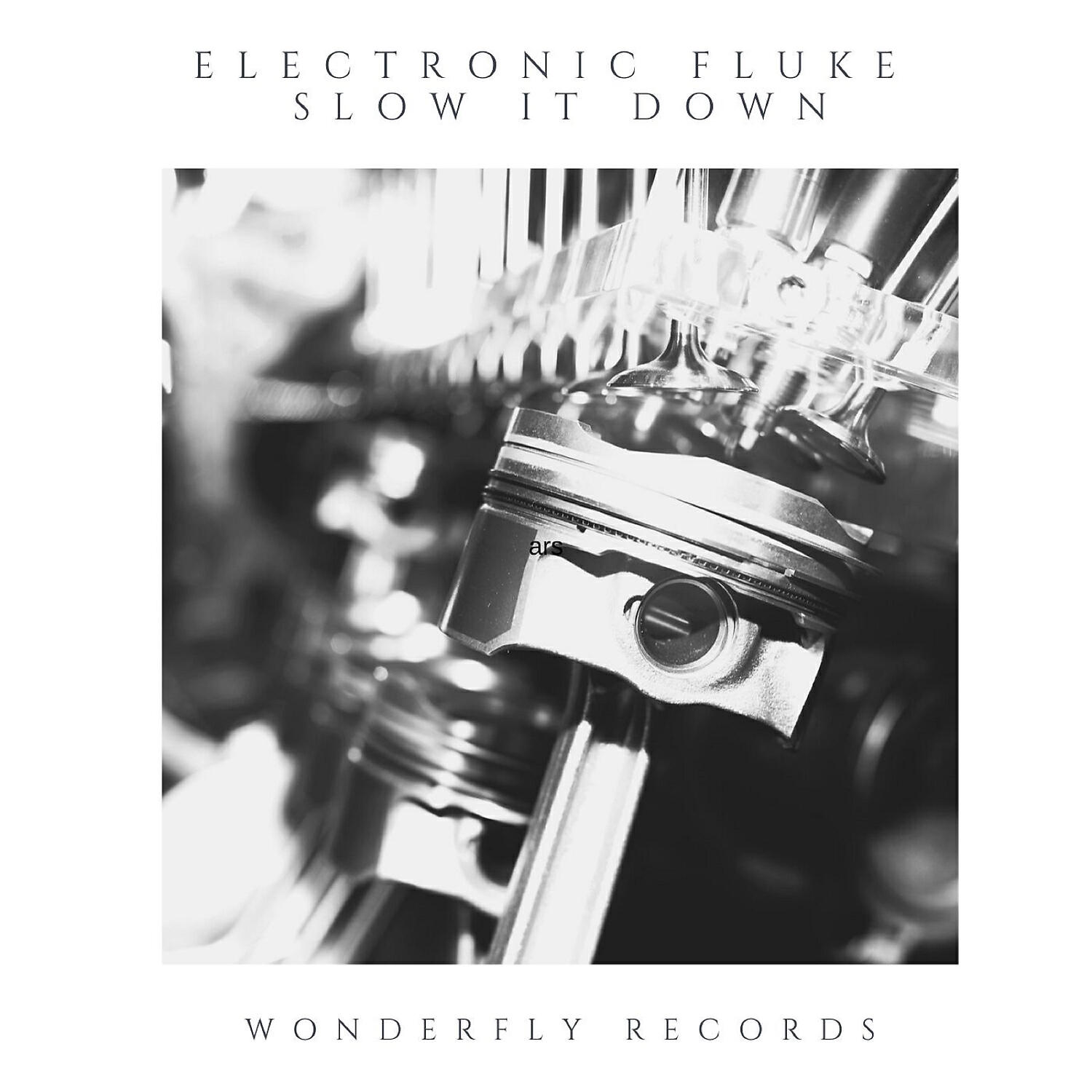 Electronic Fluke - Slow it down