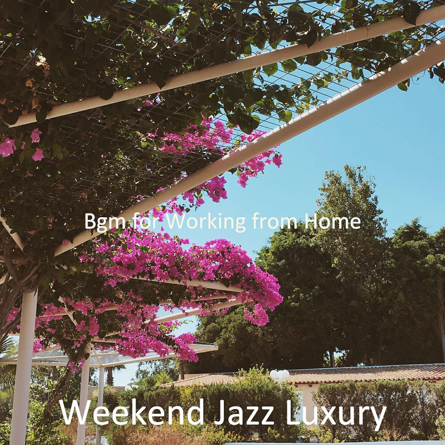 Weekend Jazz Luxury - Soulful Brazilian Jazz - Bgm for Staying Healthy