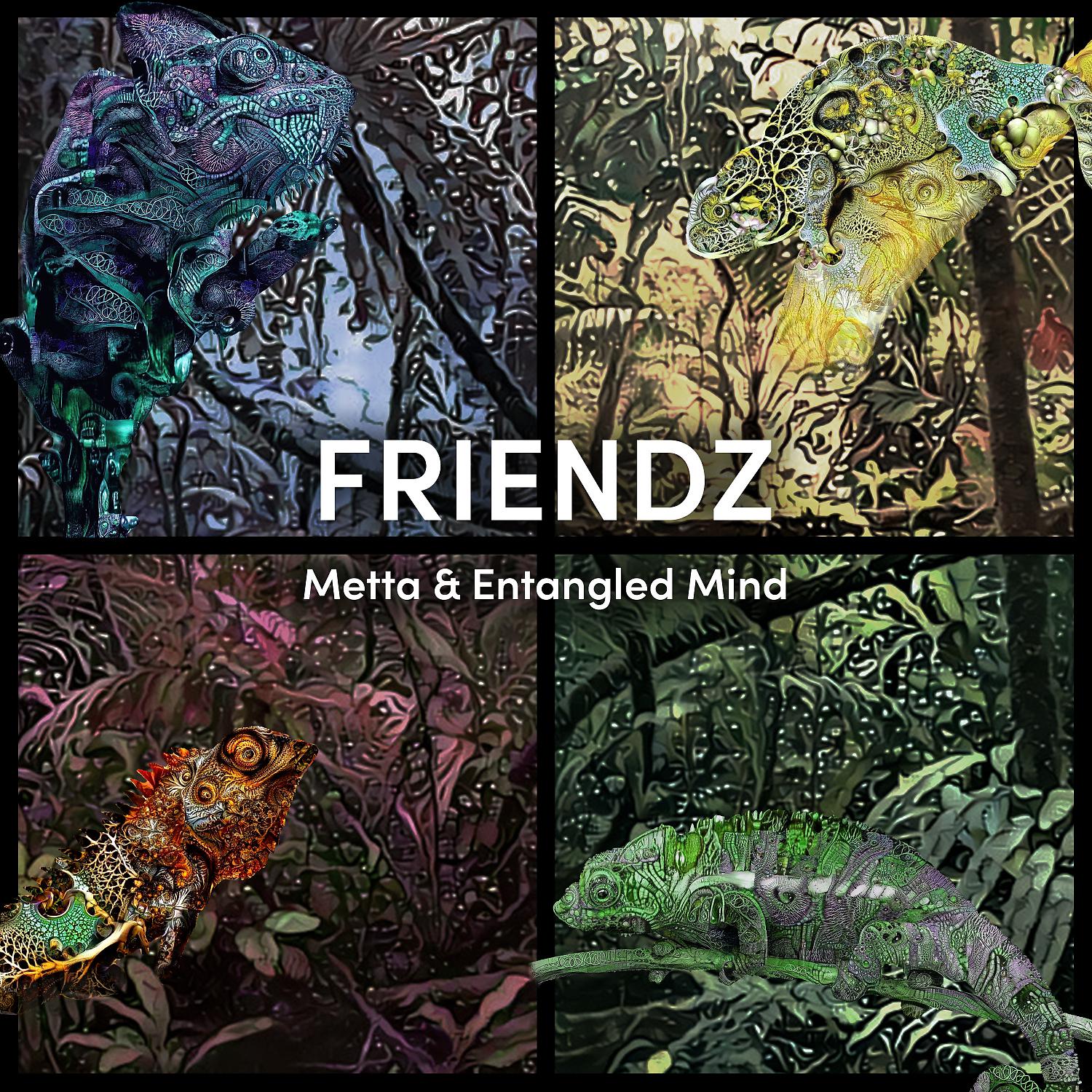 Постер альбома Friendz
