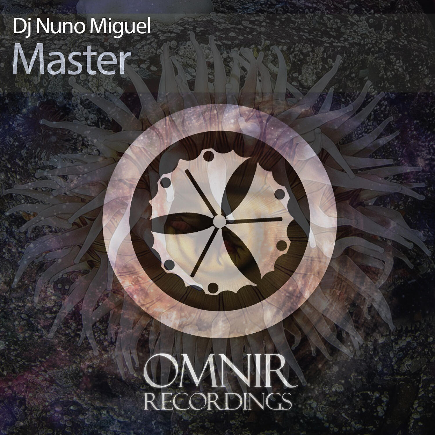 Dj Nuno Miguel - A Star Is Born