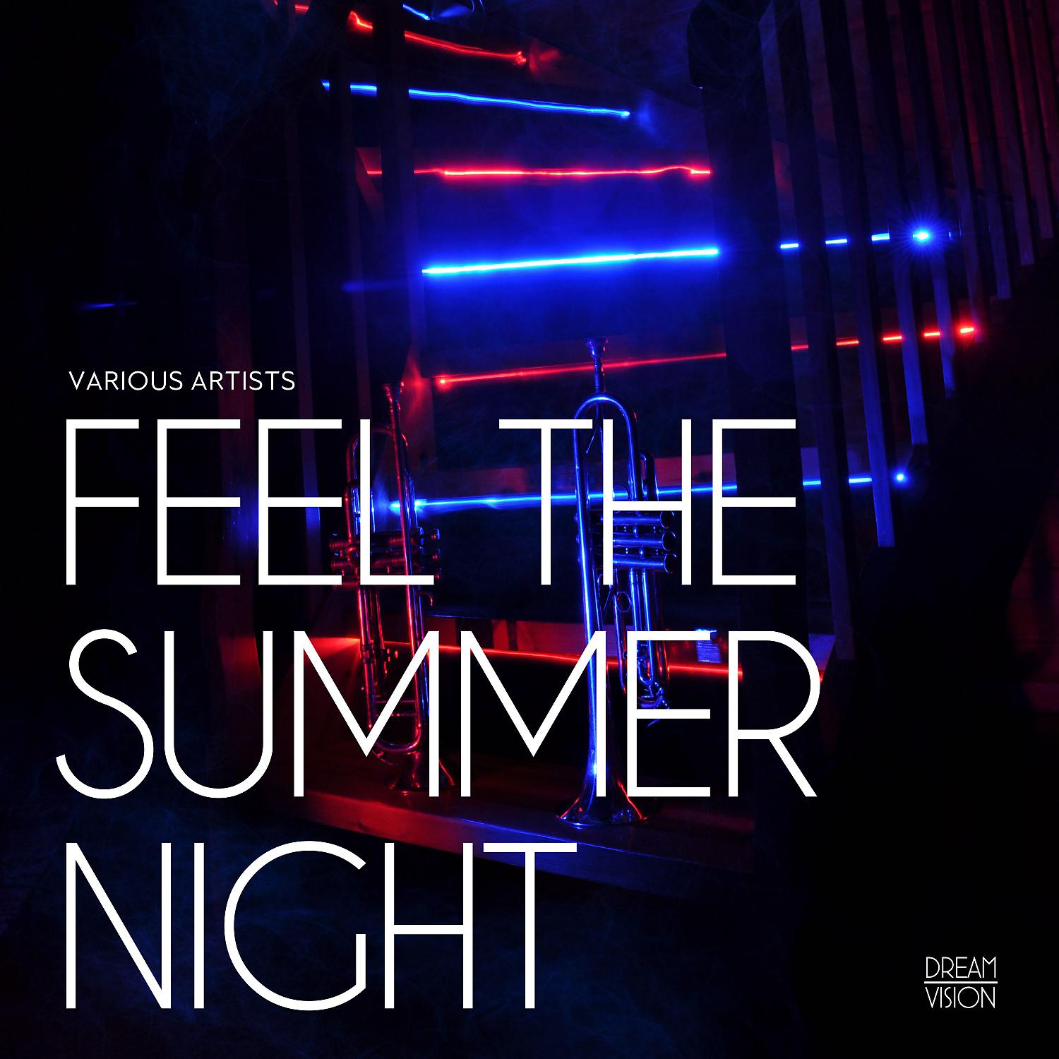 Постер альбома Feel The Summer Night