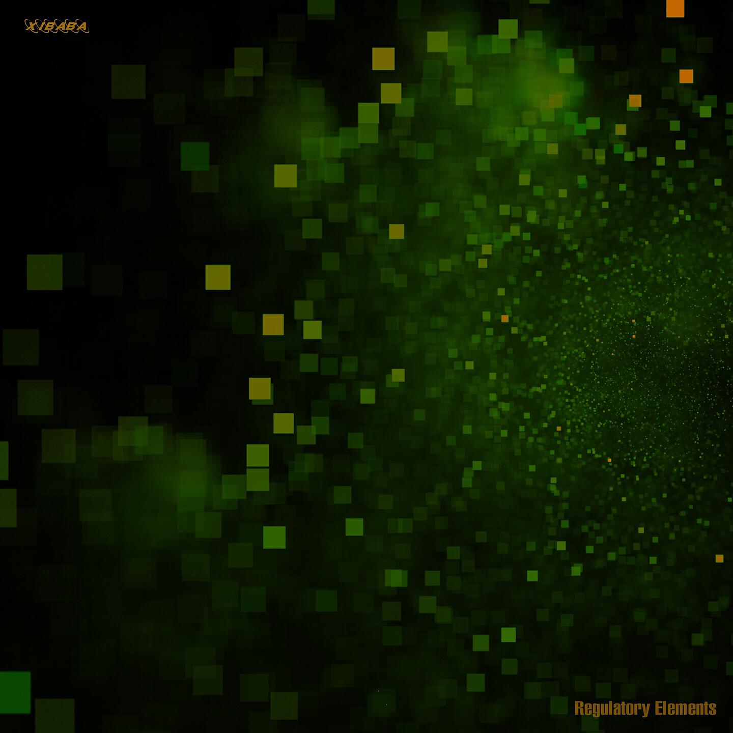 Quadrumana - Signal Lost