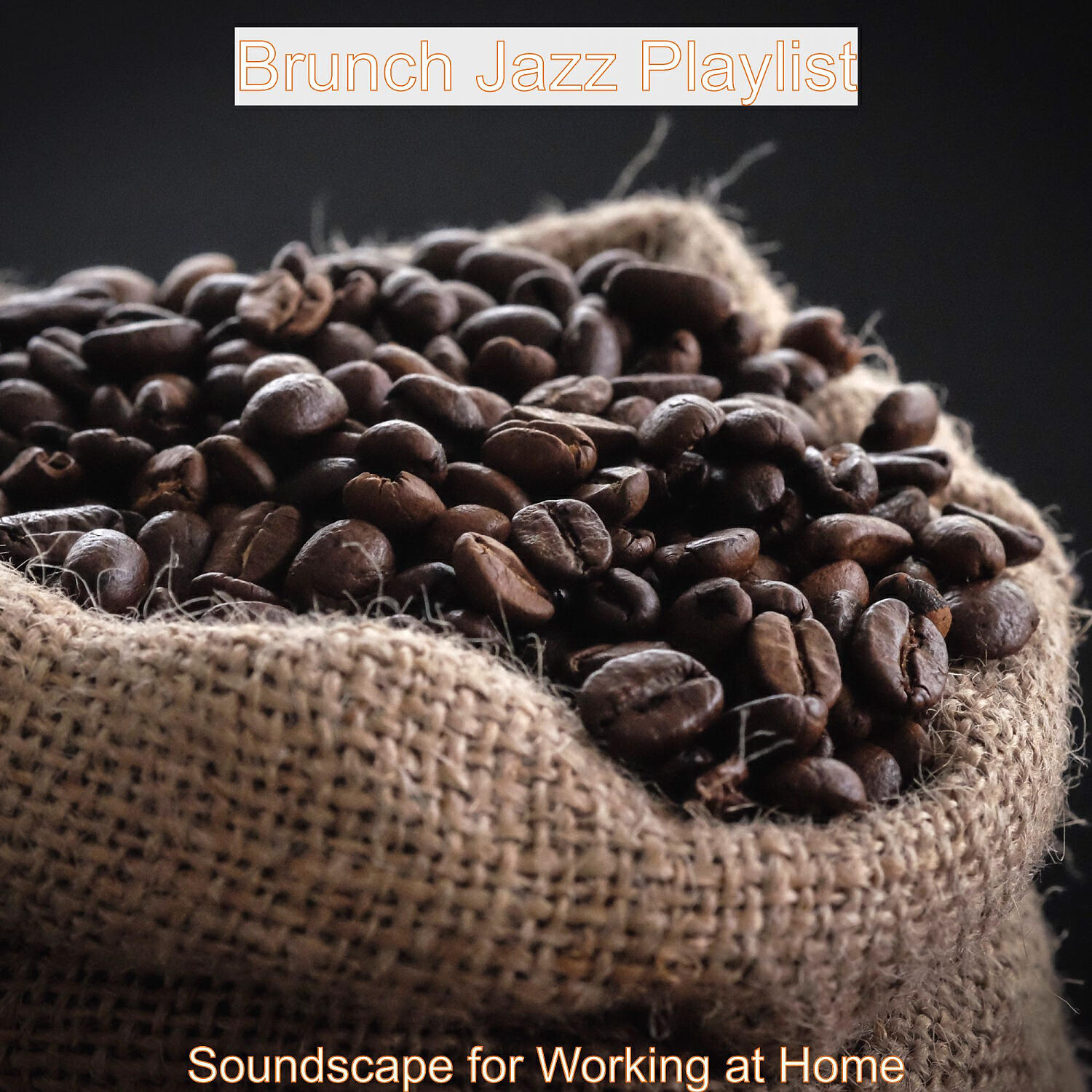 Brunch Jazz Playlist - Brazilian Jazz - Background Music for Brewing Fresh Coffee