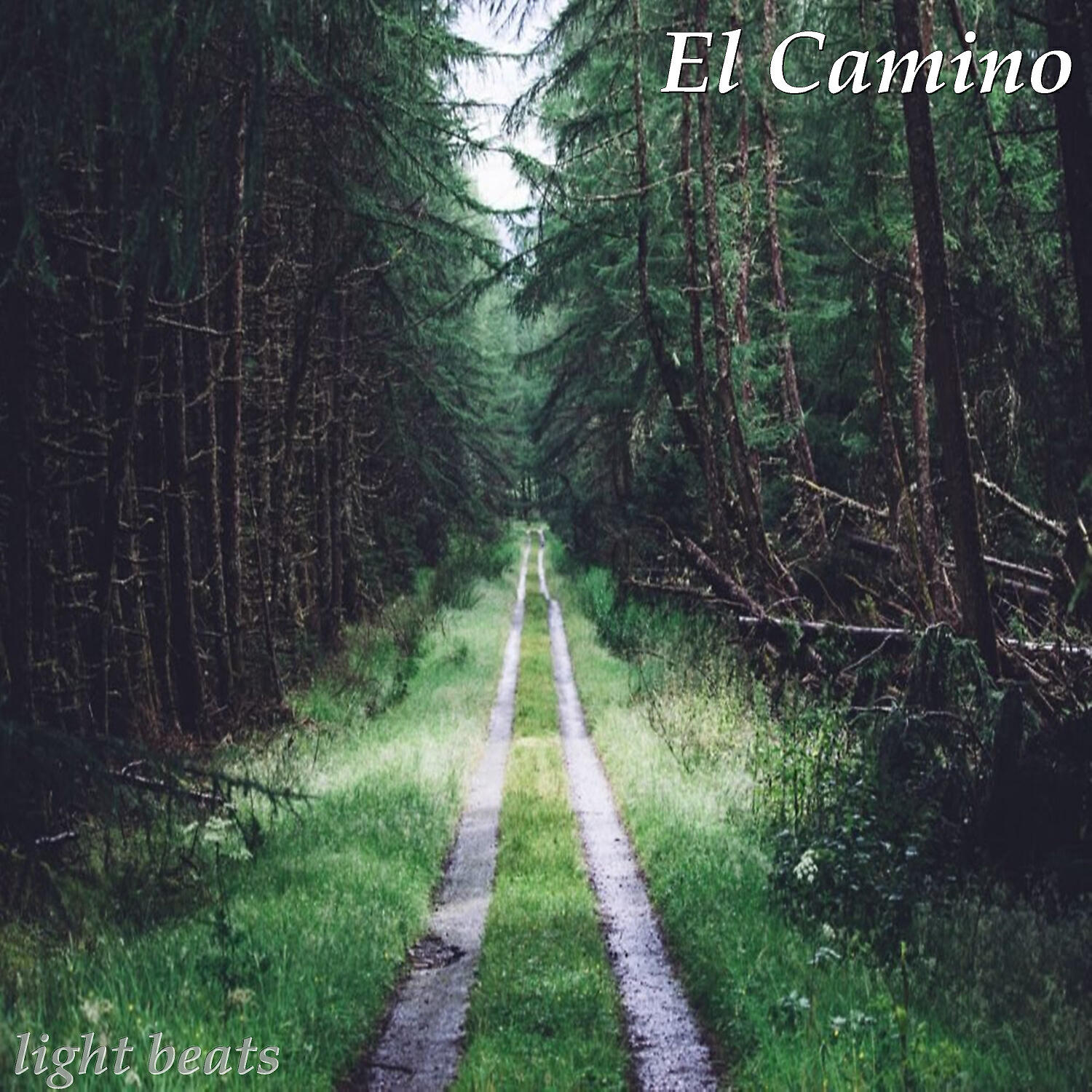 Light Beats - Instrumental Reggaeton Beat Puro Perreo