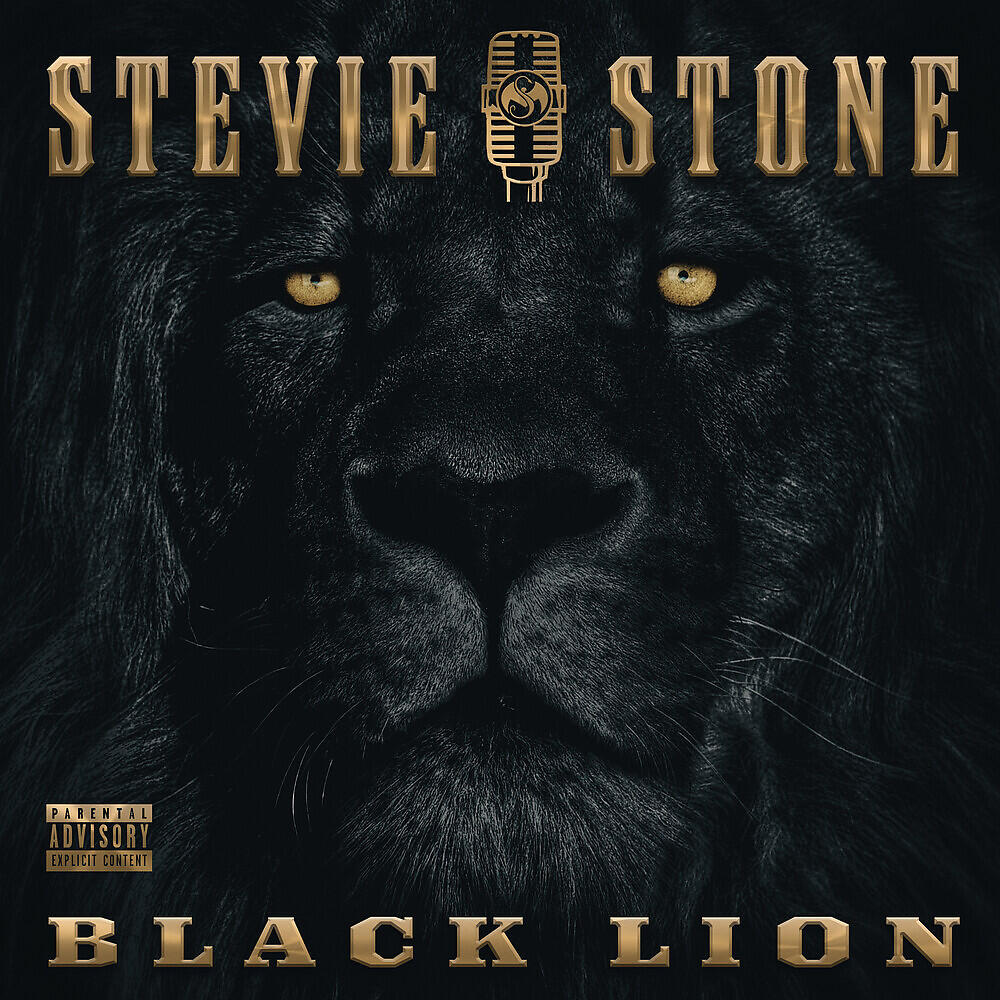 Stevie Stone - Still Standing