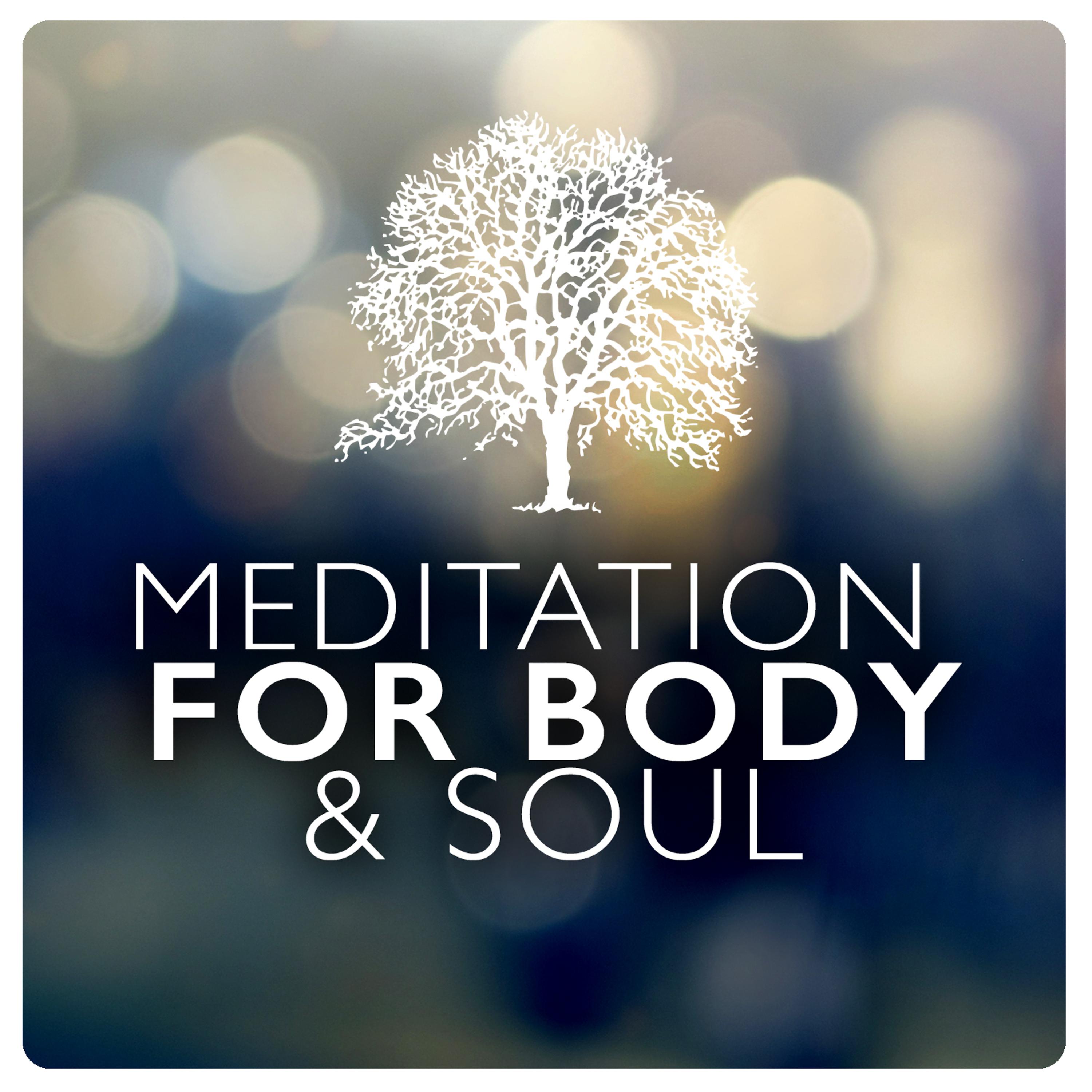 Постер альбома Meditation for Body & Soul