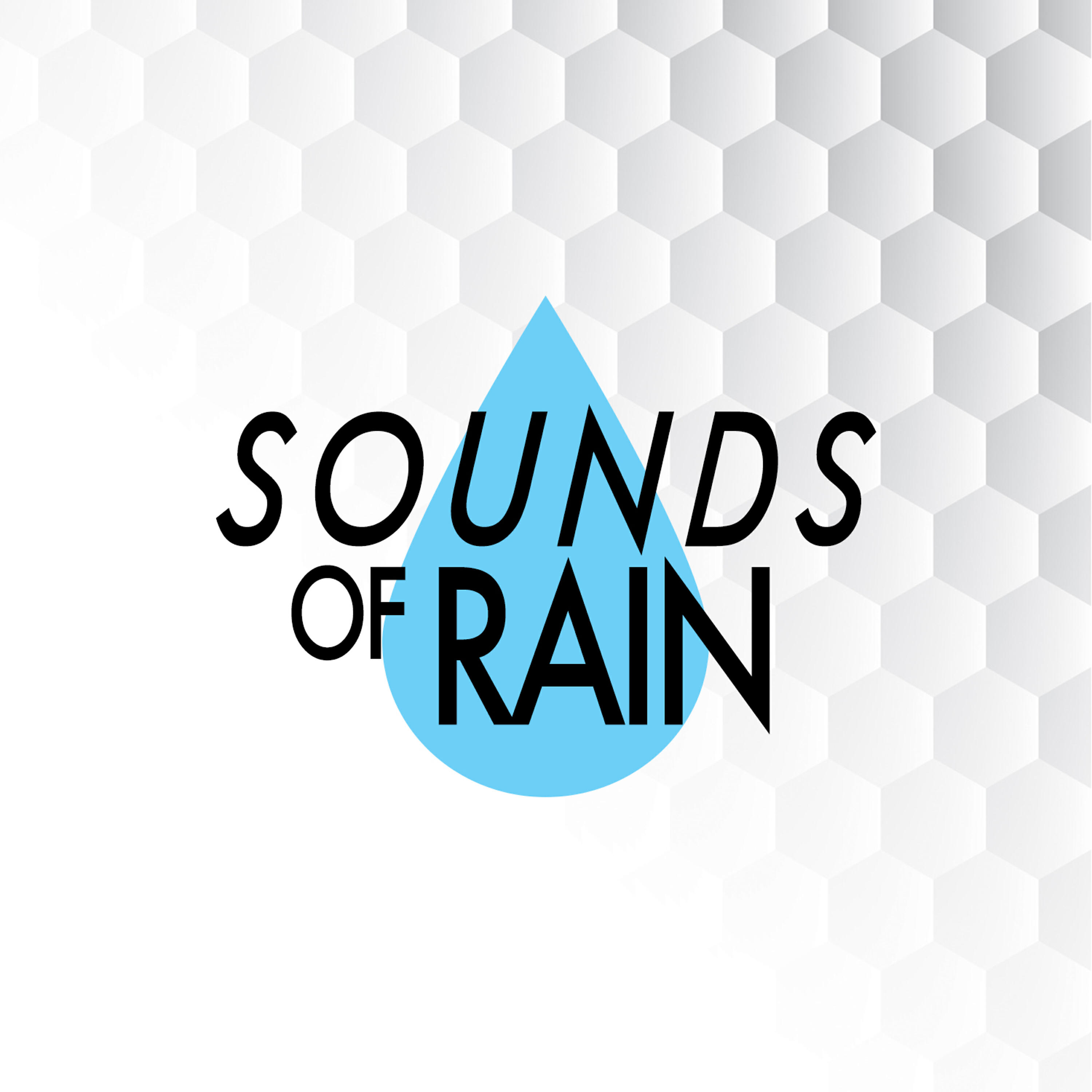 Sounds Of Nature : Thunderstorm - Birth of the Storm