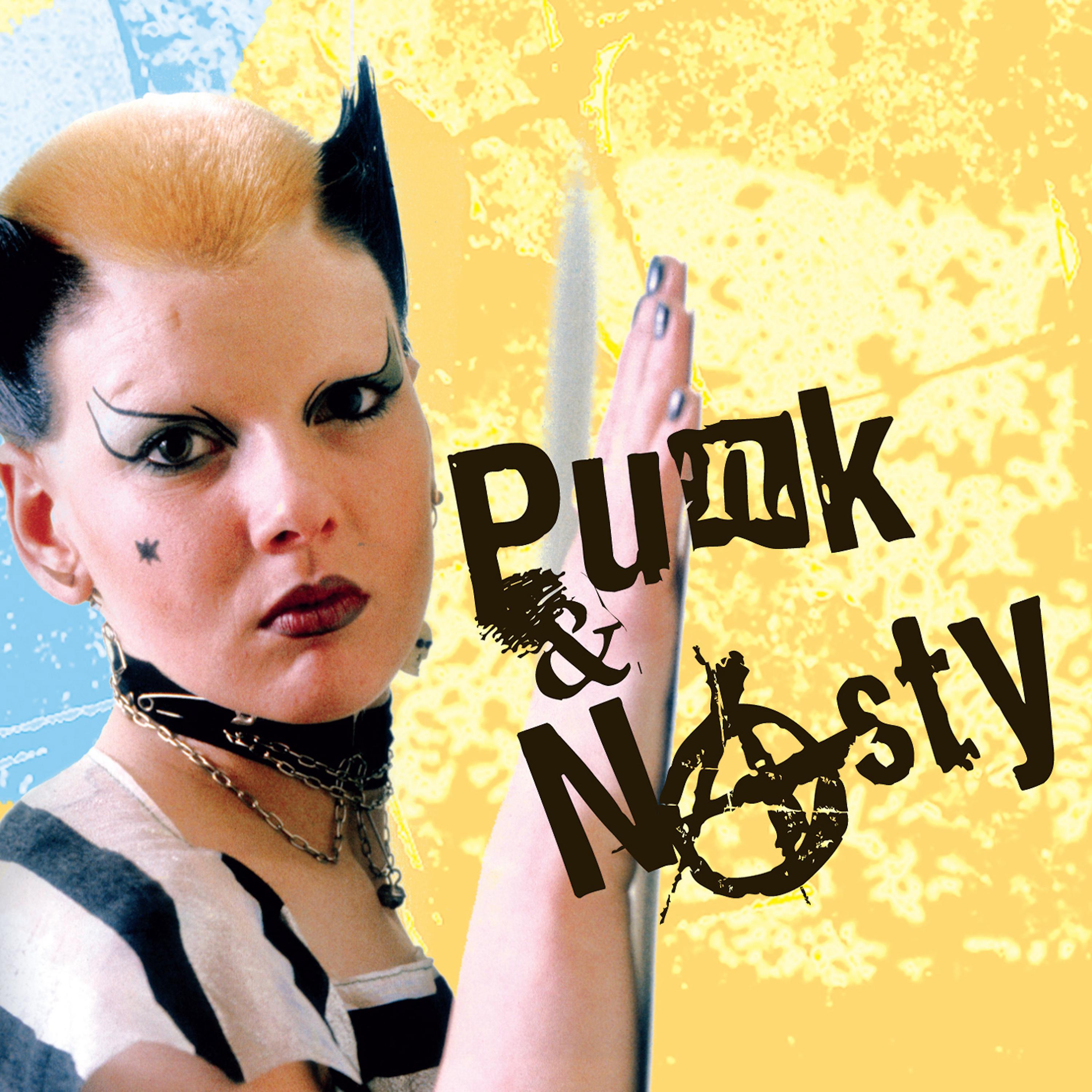 Постер альбома Punk & Nasty