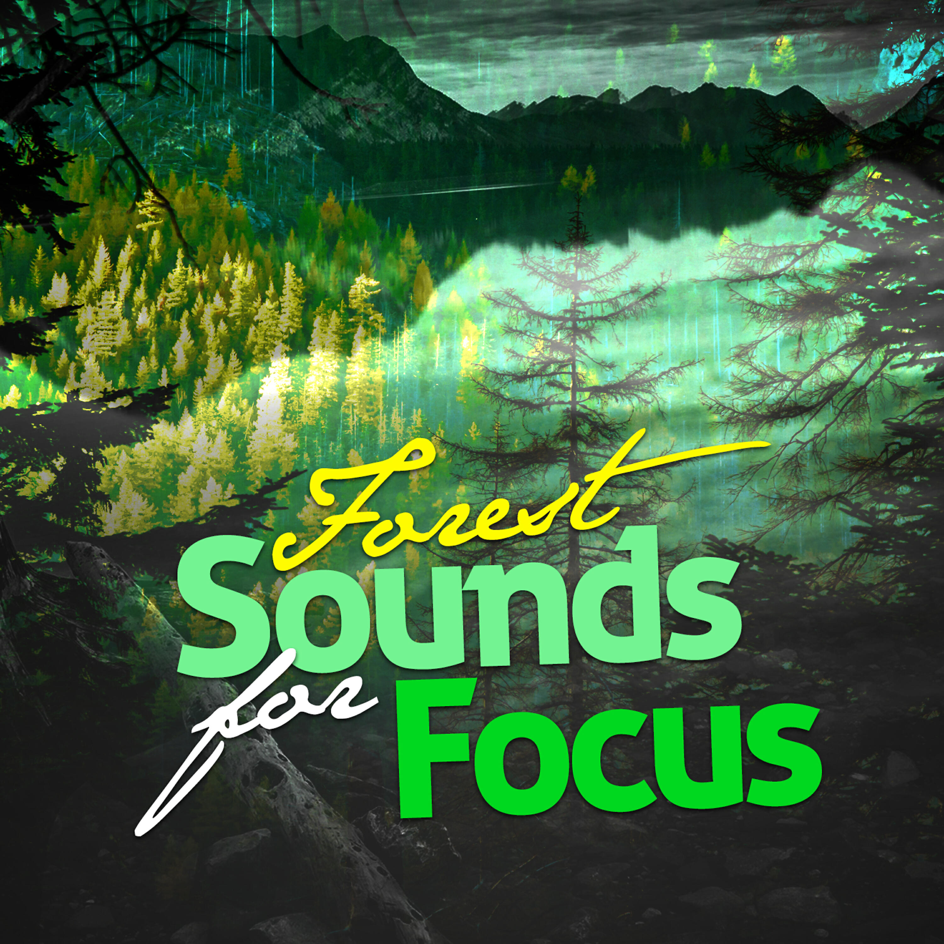 Natural Forest Sounds - Calm Flow