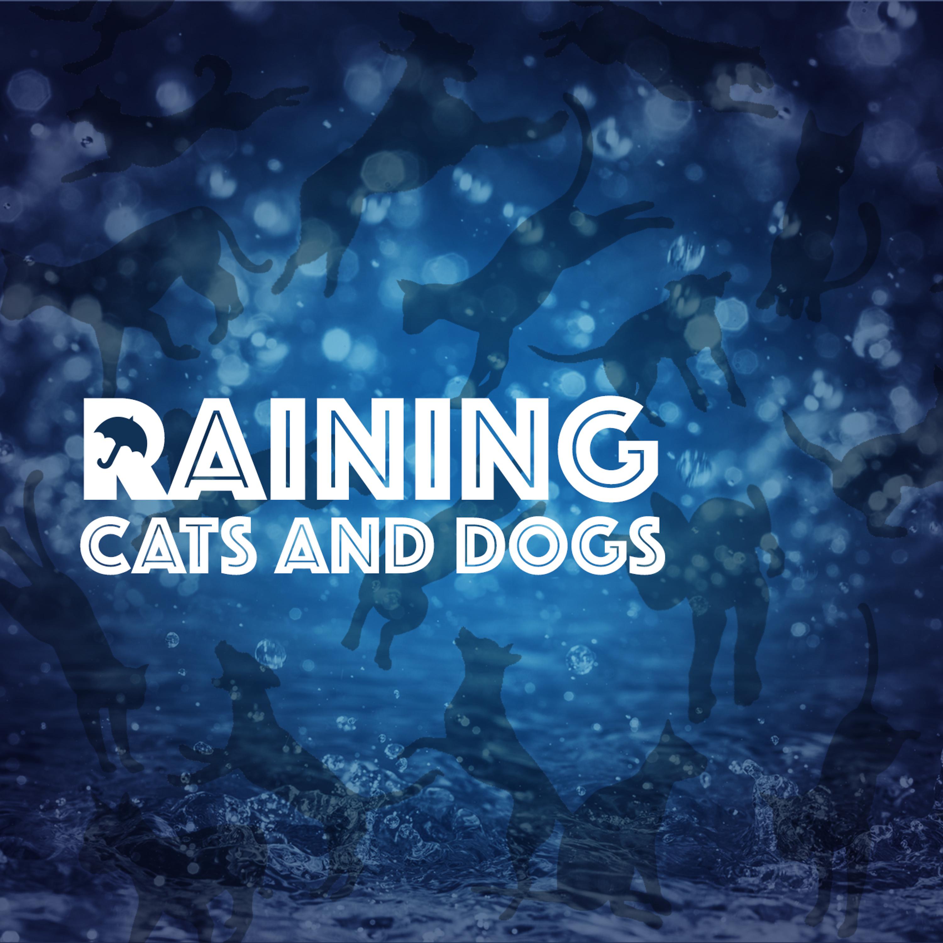 Постер альбома Raining Cats and Dogs
