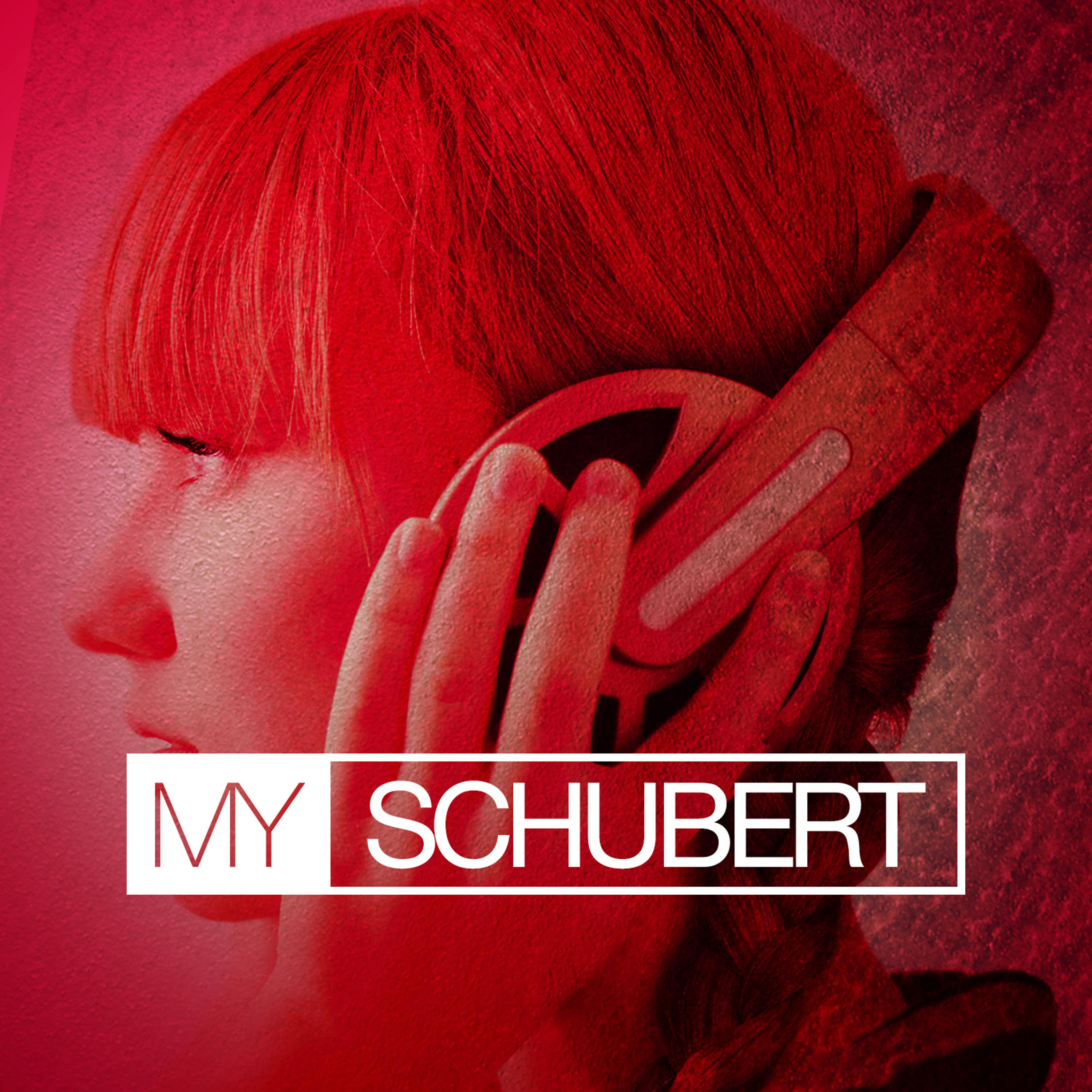Постер альбома My Schubert