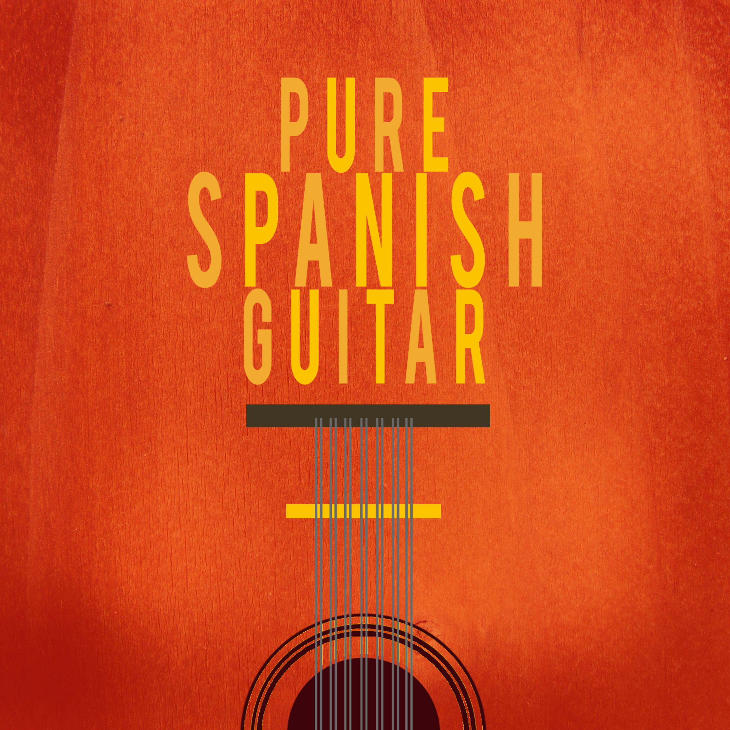 Постер альбома Pure Spanish Guitar