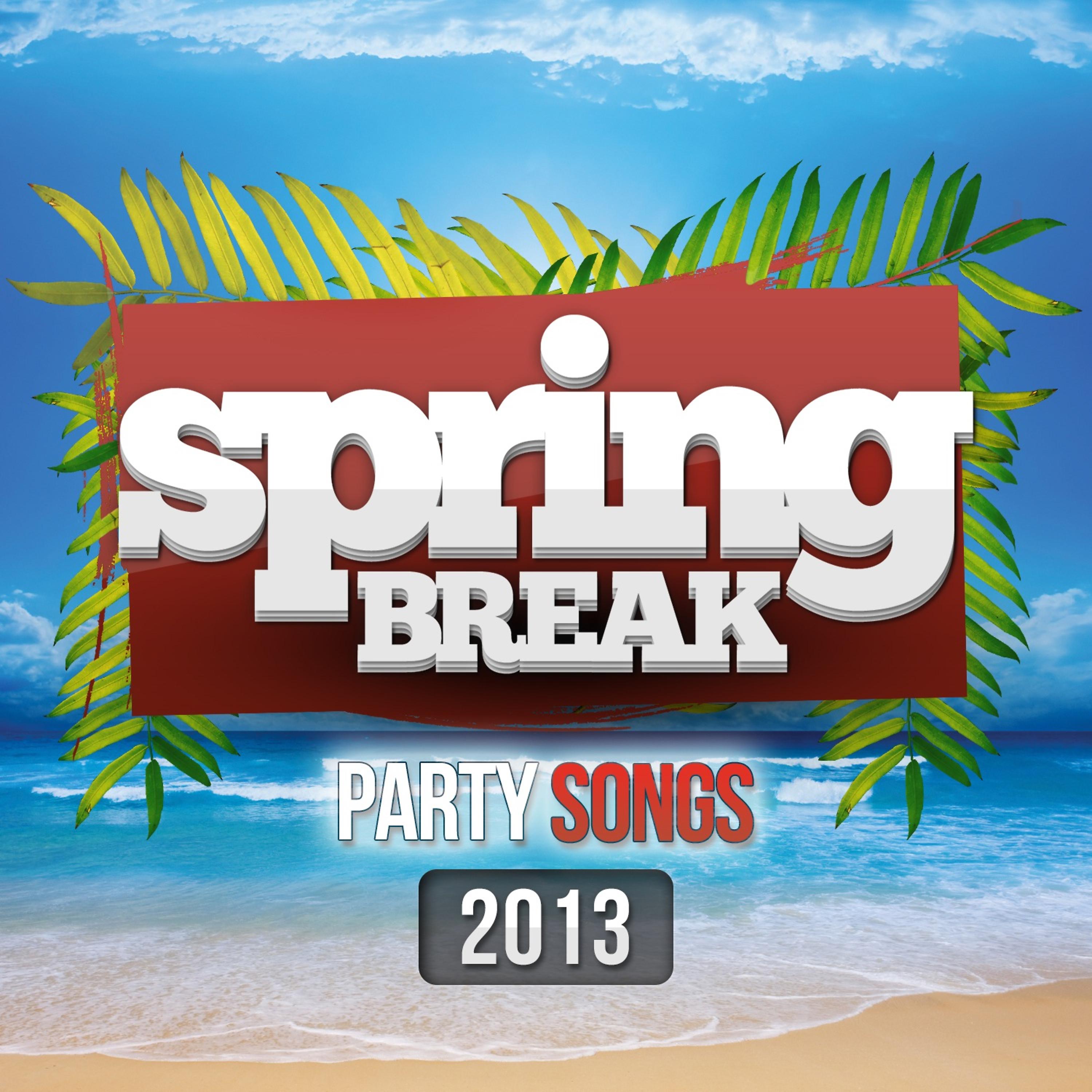 Постер альбома Spring Break Party Songs 2013