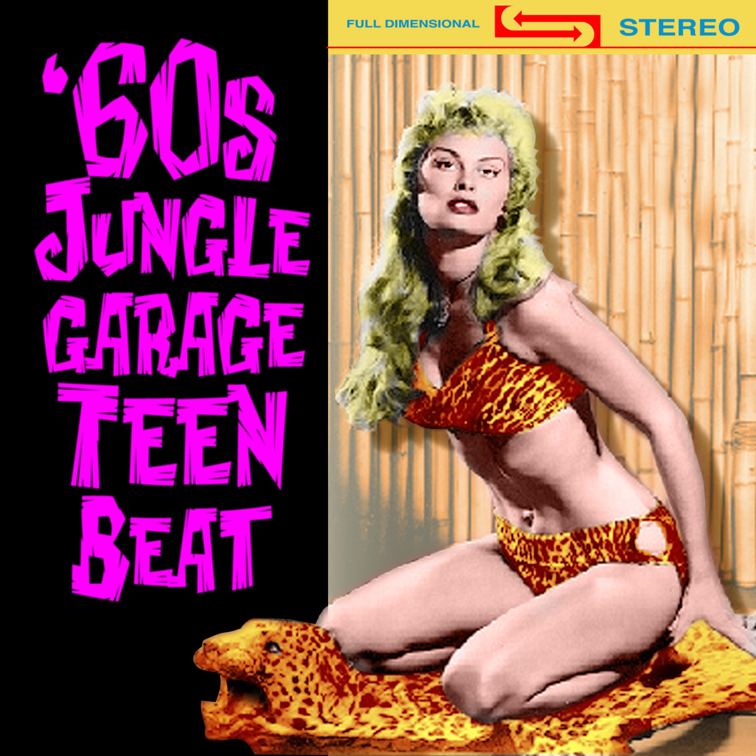 Постер альбома 60s Jungle Garage Teen Beat