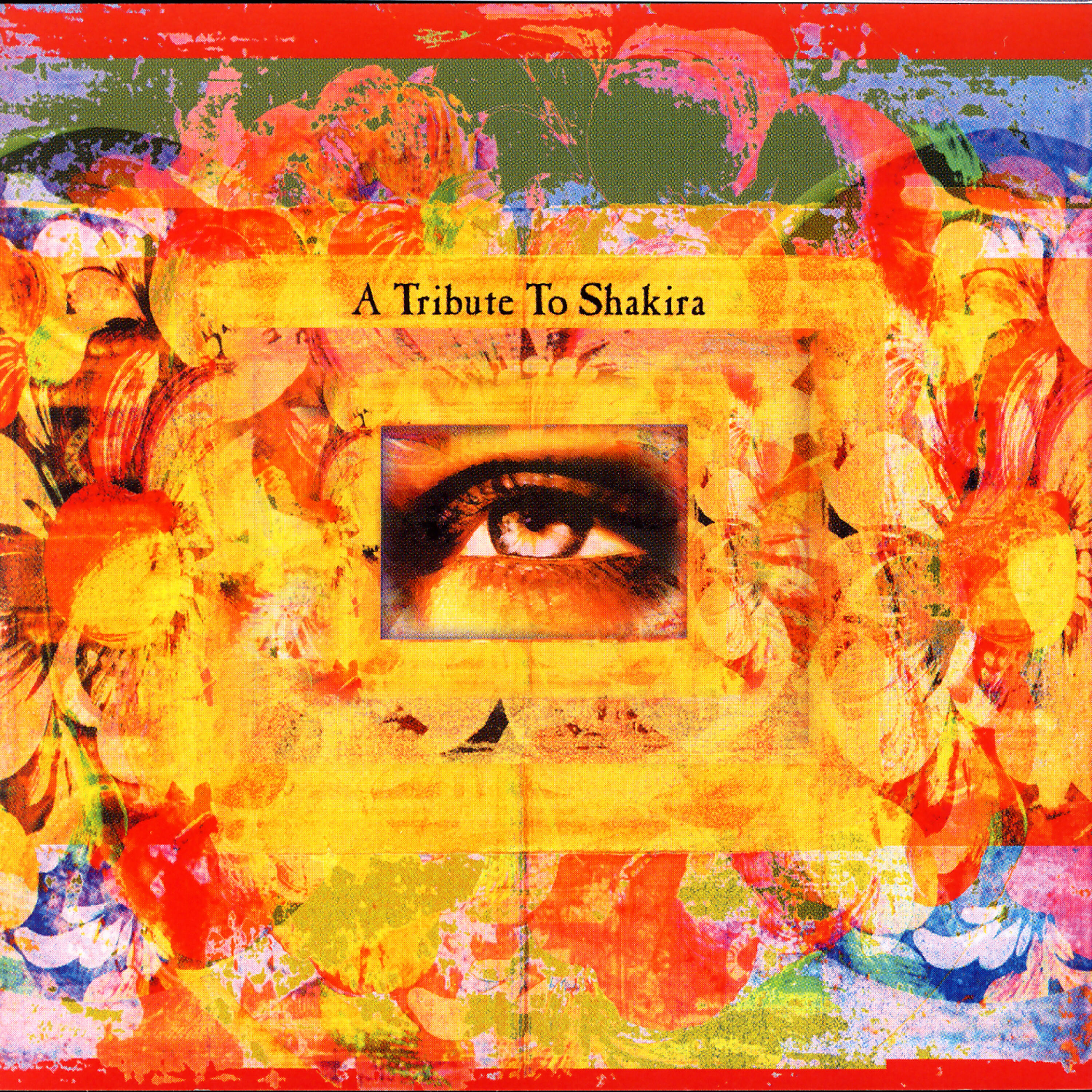 Various Artists - Shakira Tribute - Suerte (Whenever, Wherever)