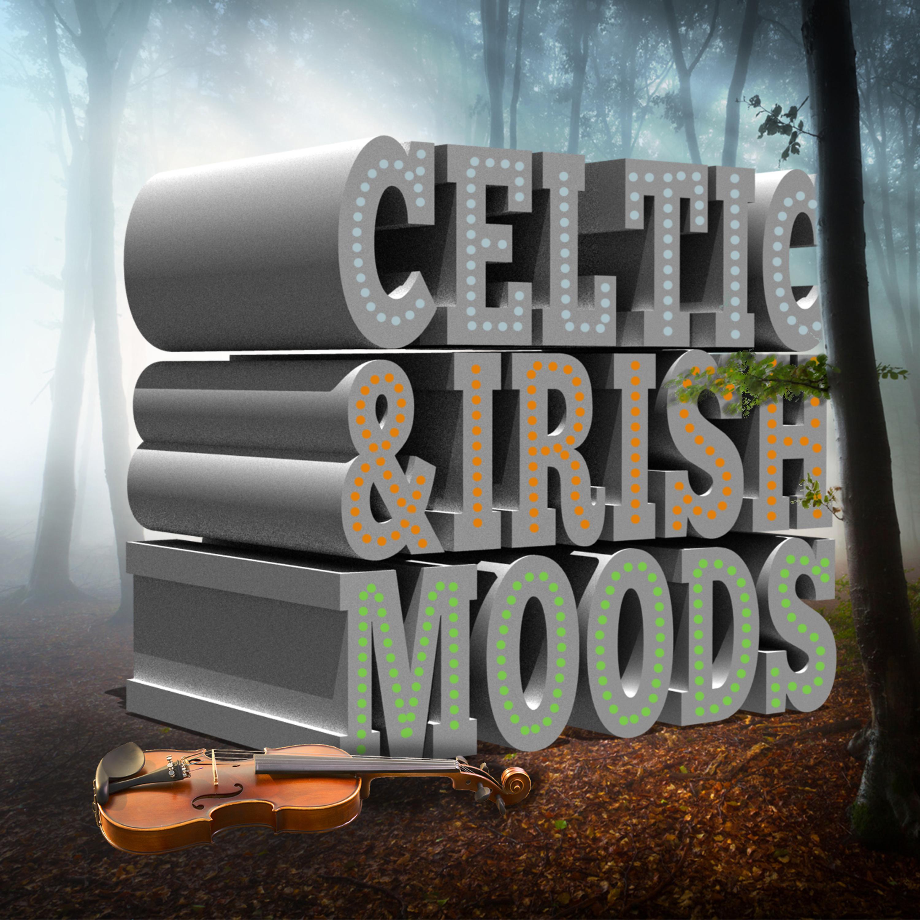 Постер альбома Celtic and Irish Moods