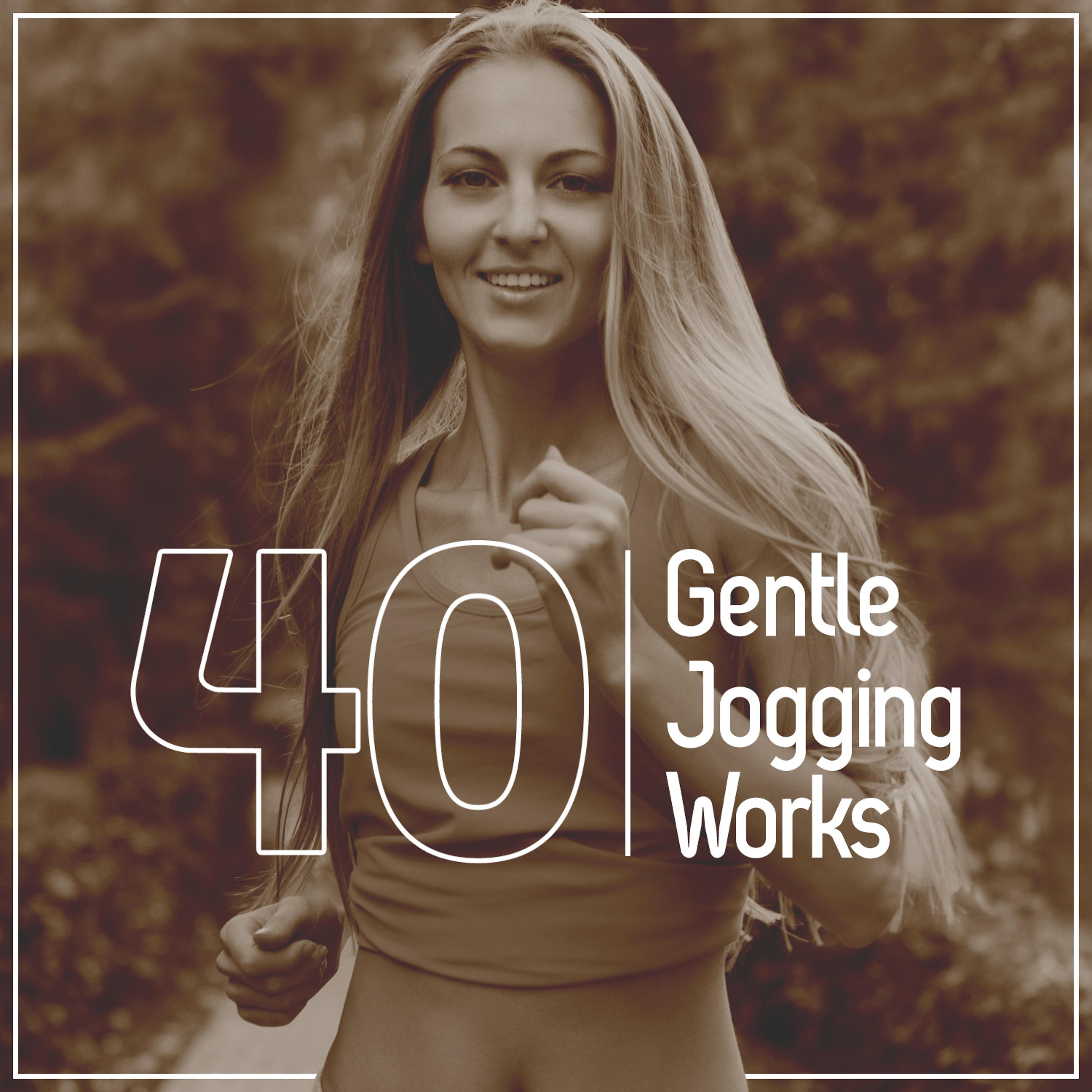 Постер альбома 40 Gentle Jogging Works