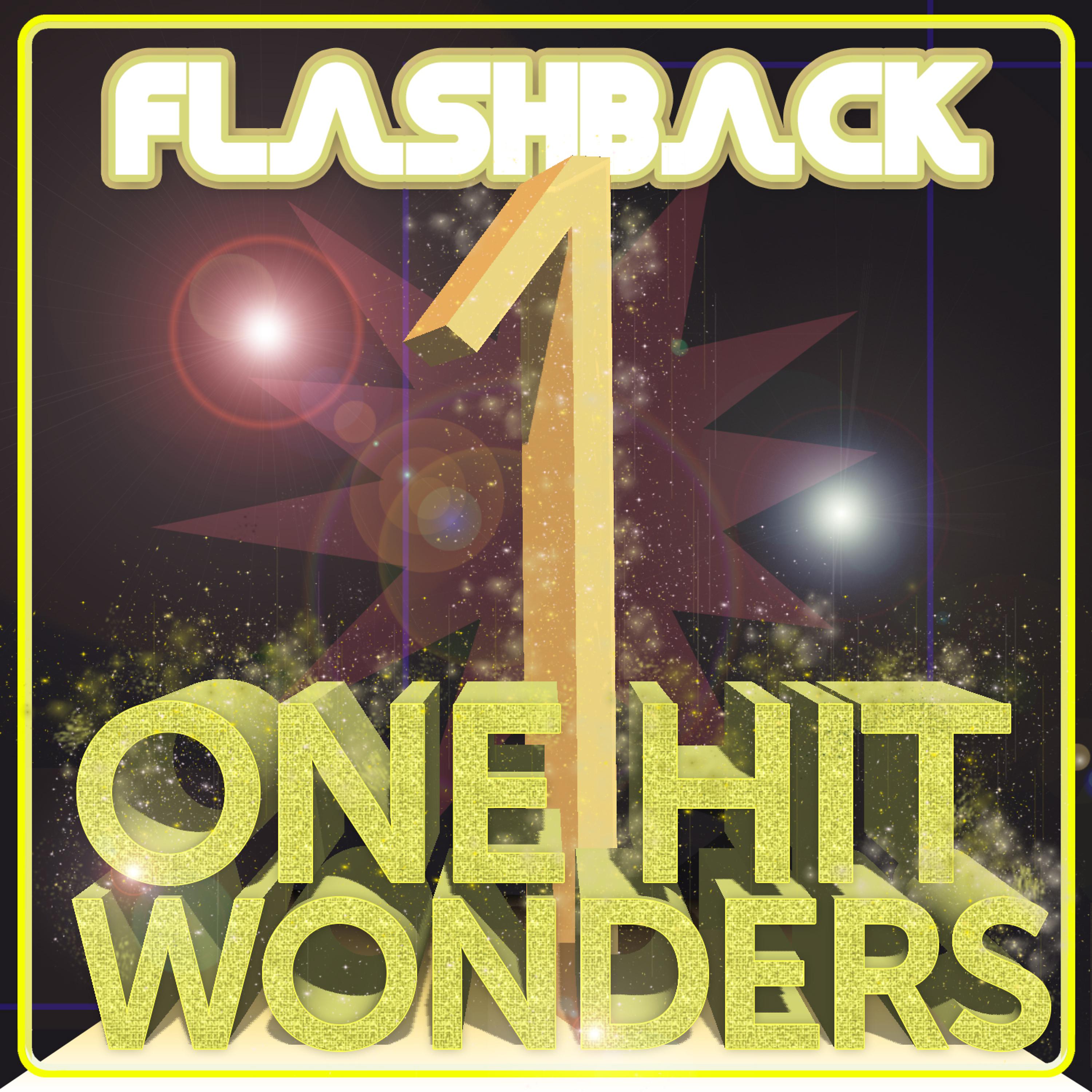Постер альбома Flashback - One Hit Wonders