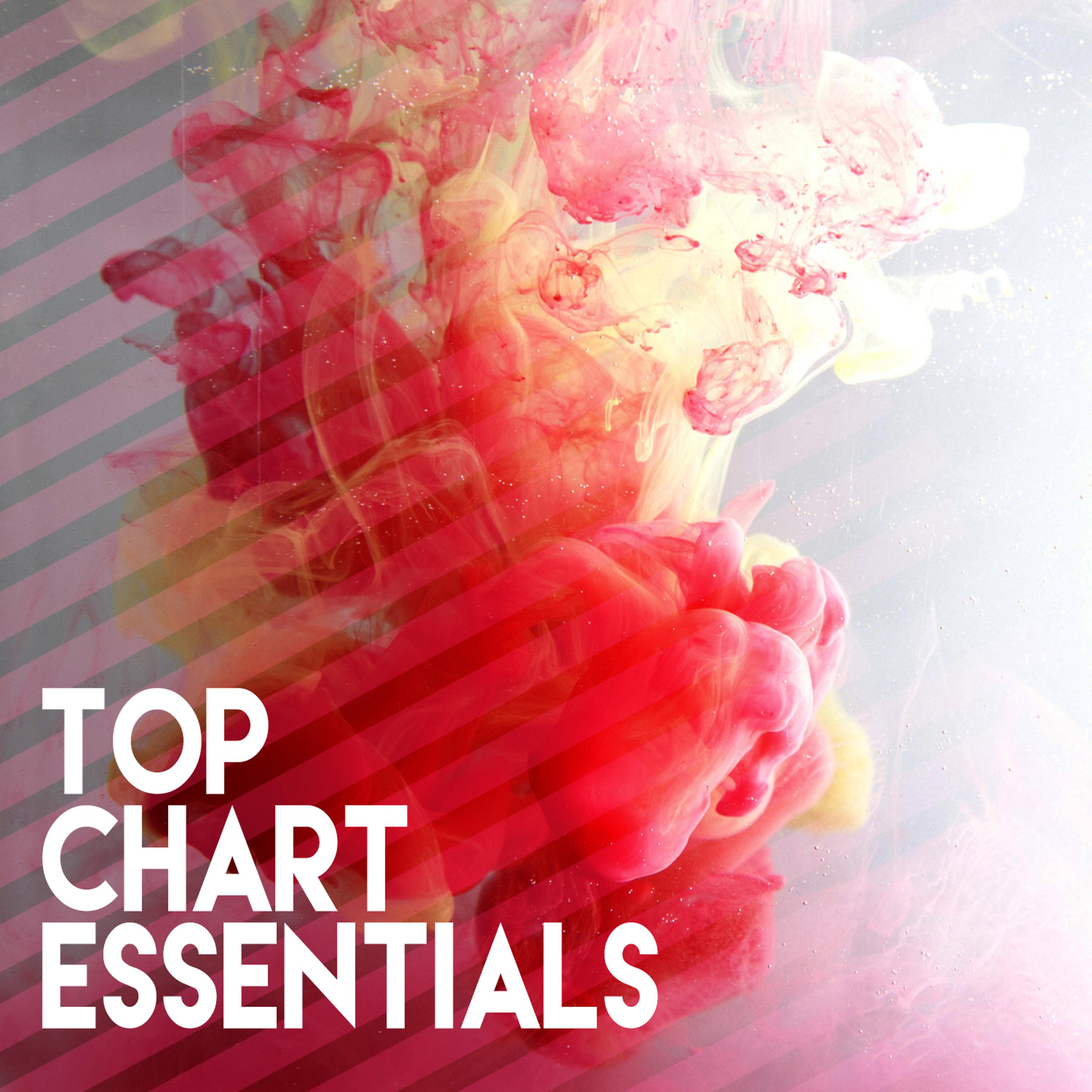 Постер альбома Top Chart Essentials