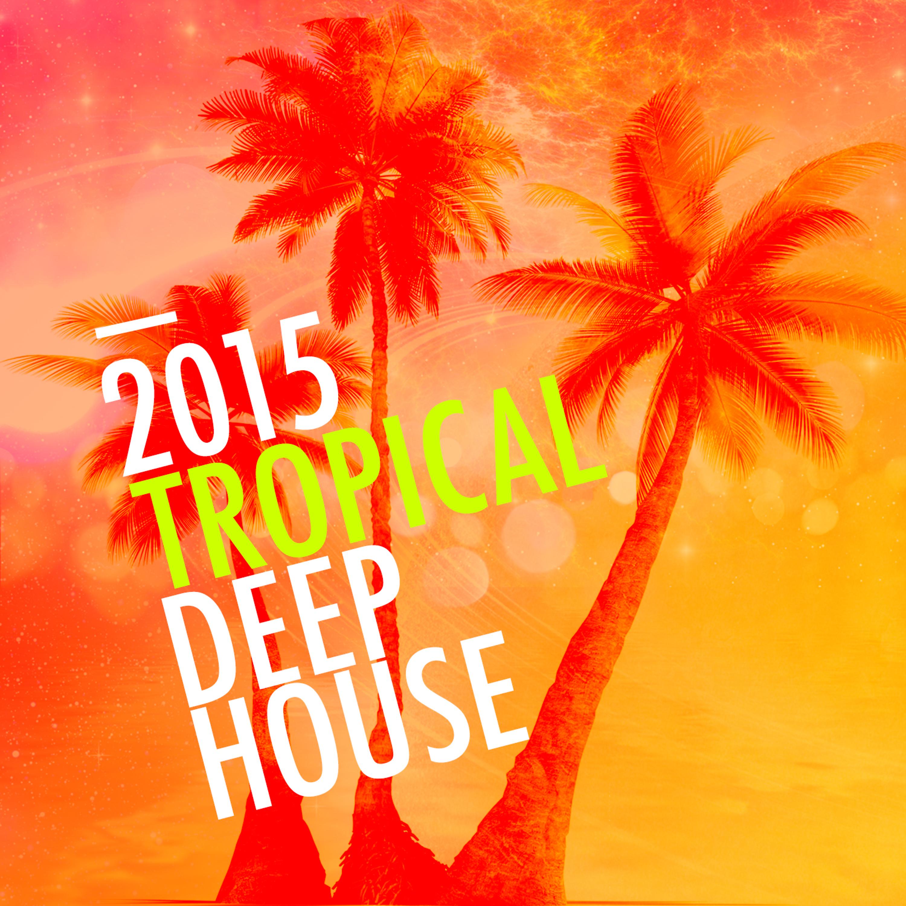 Постер альбома 2015 Tropical Deep House