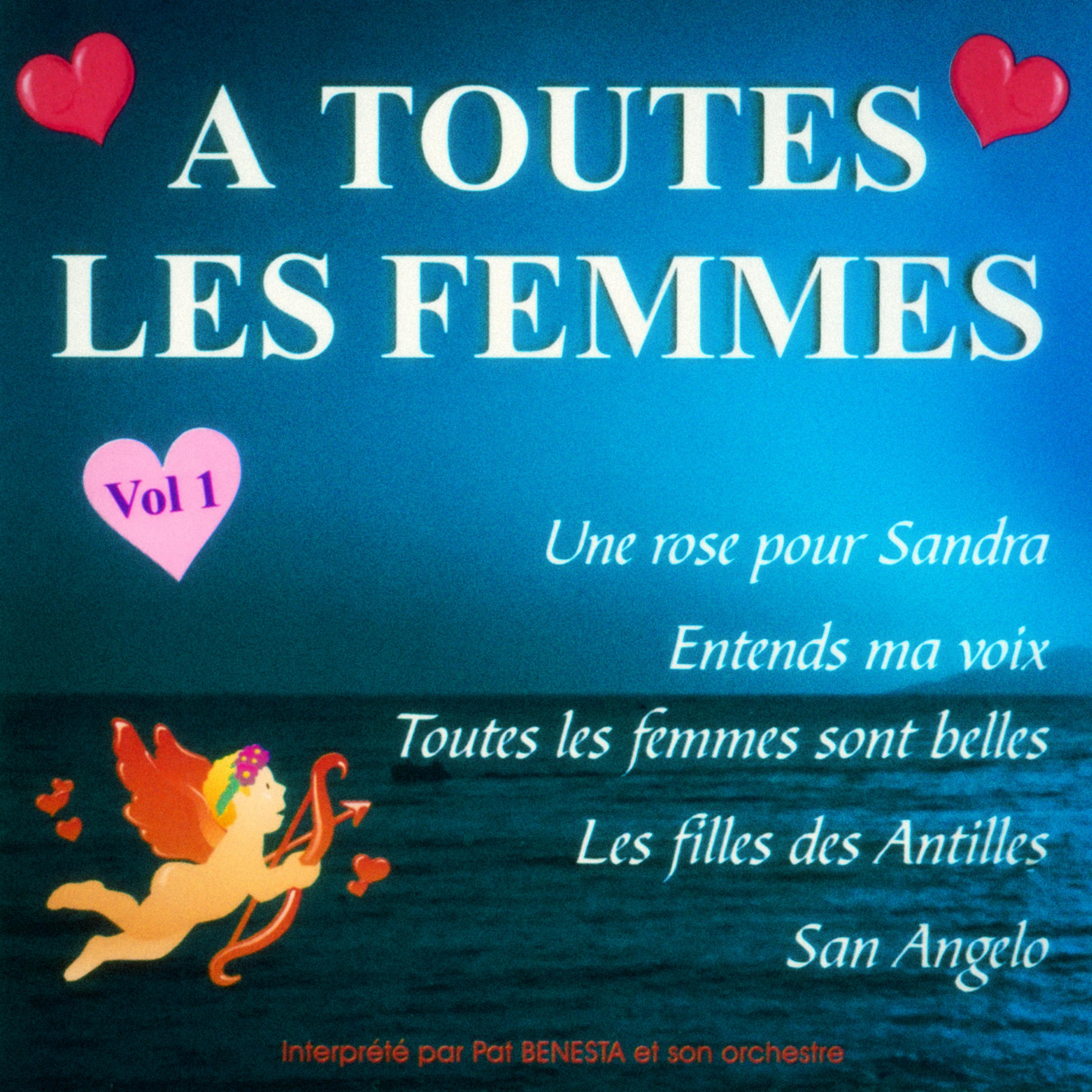 Постер альбома A toutes les femmes, Vol. 1
