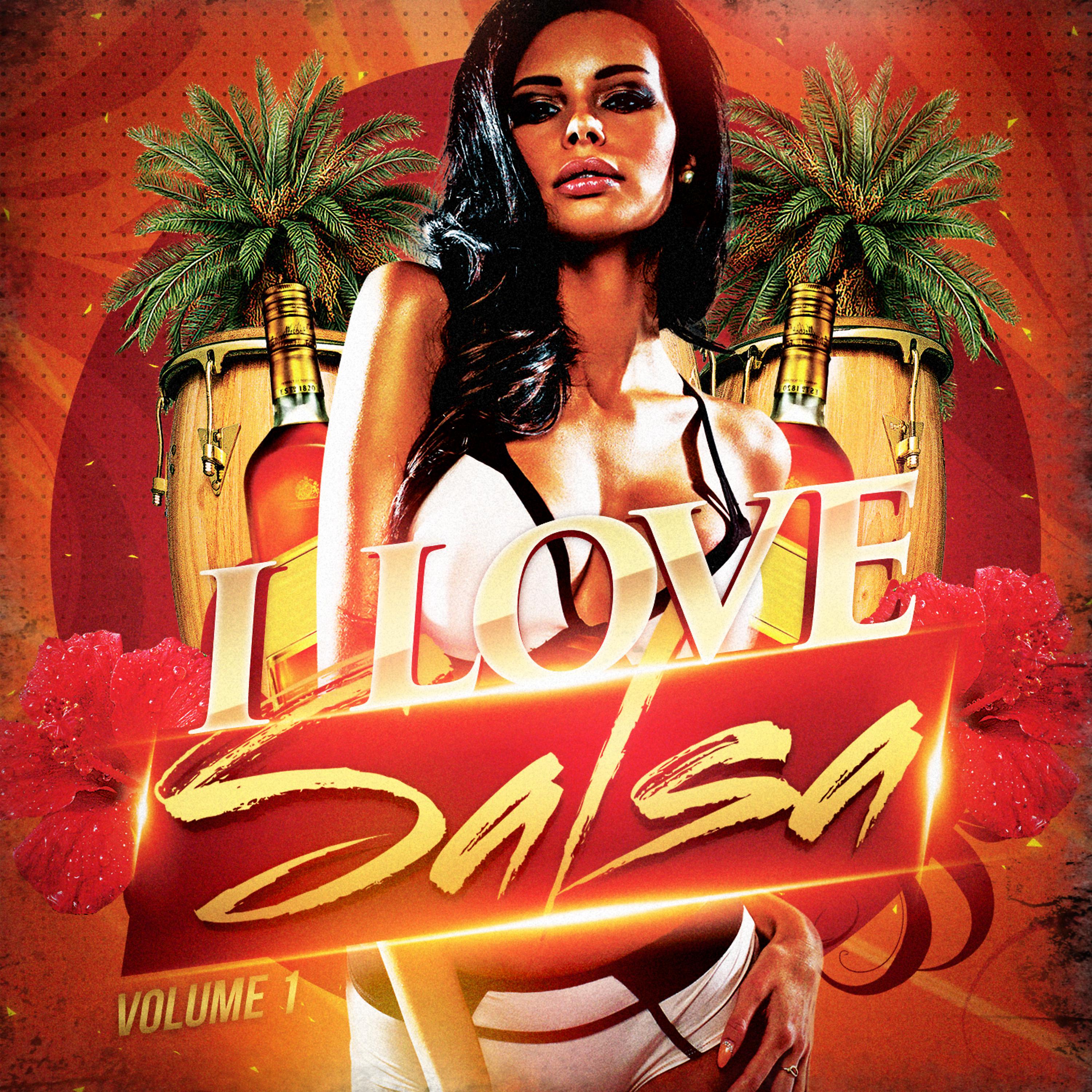 Постер альбома I Love Salsa (20 Tracks of Pure Salsa Music)