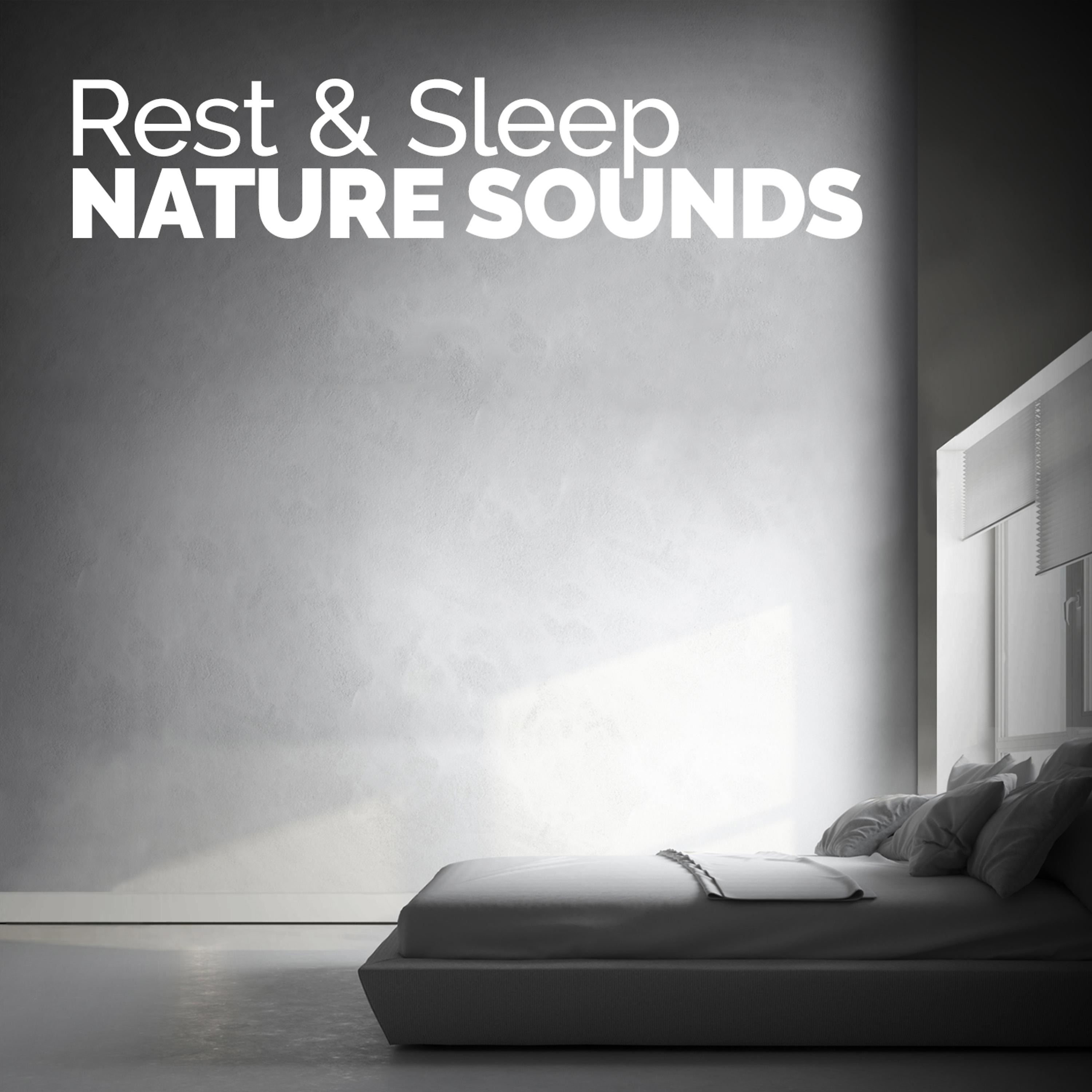 Постер альбома Rest & Sleep: Nature Sounds