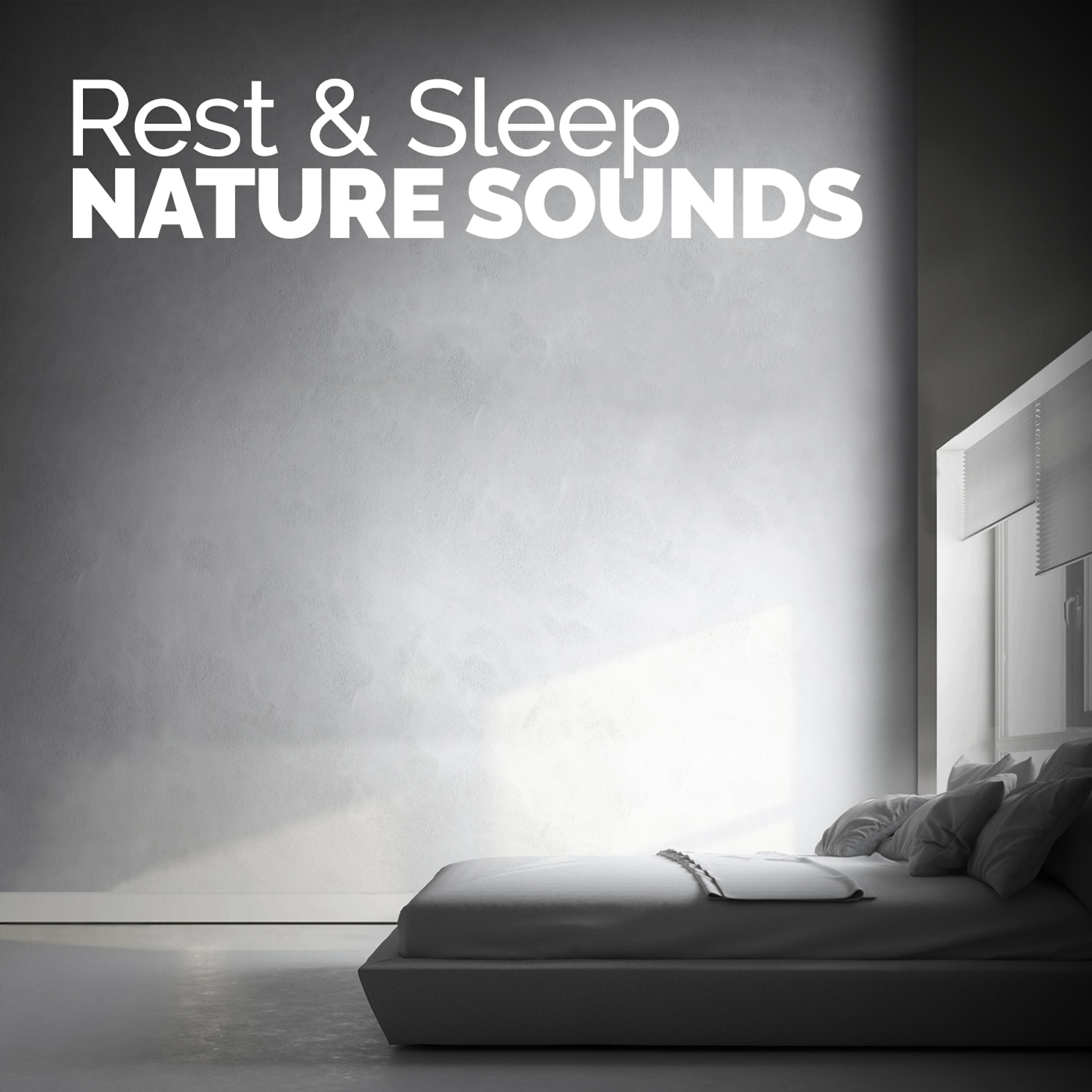 Rest - Rhythm of the Water