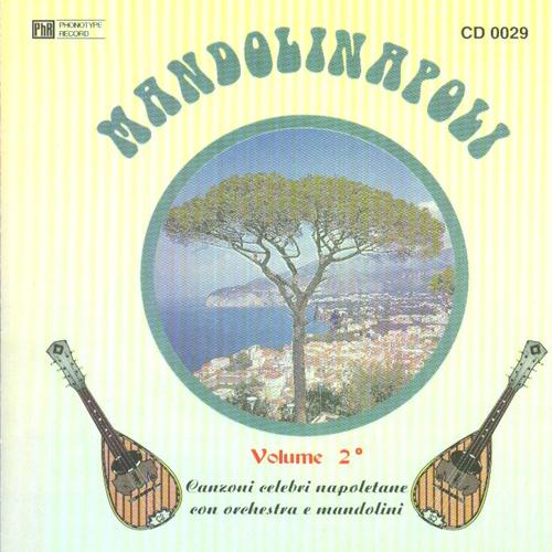 Постер альбома Mandolinapoli Vol. 2