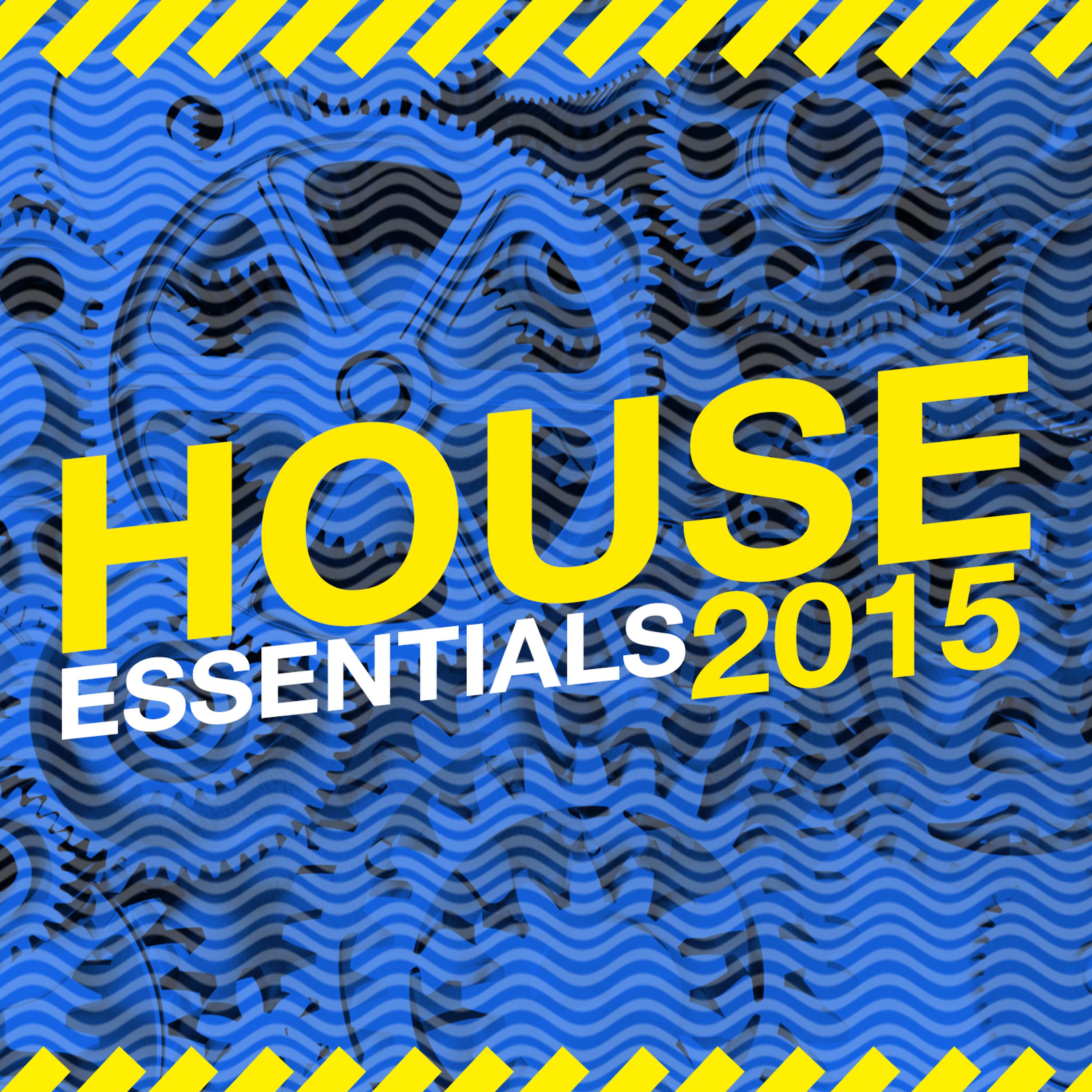 Постер альбома House Essentials 2015