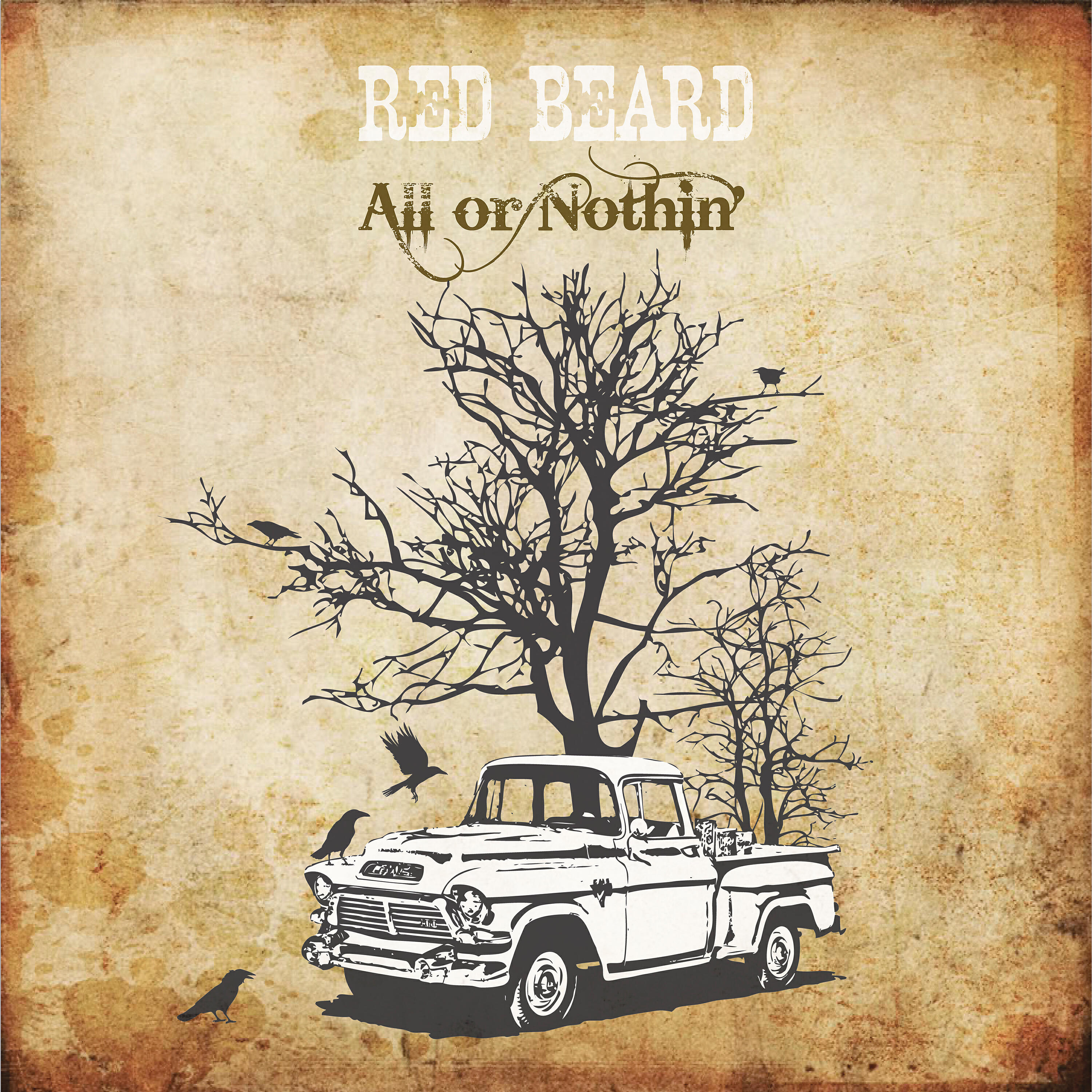 Red Beard - Islanders