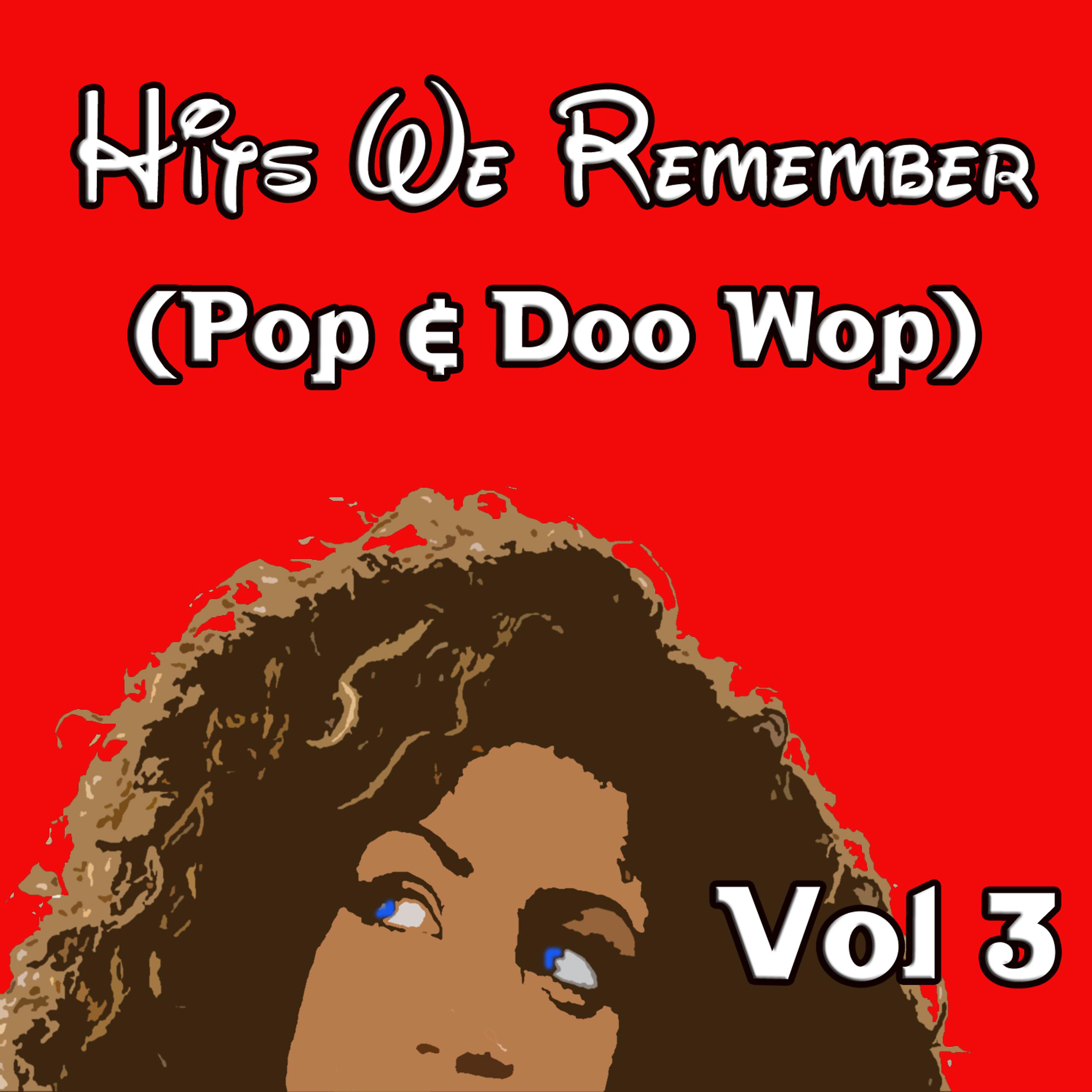 Постер альбома Hits We Remember (Pop & Doo Wop), Vol. 3