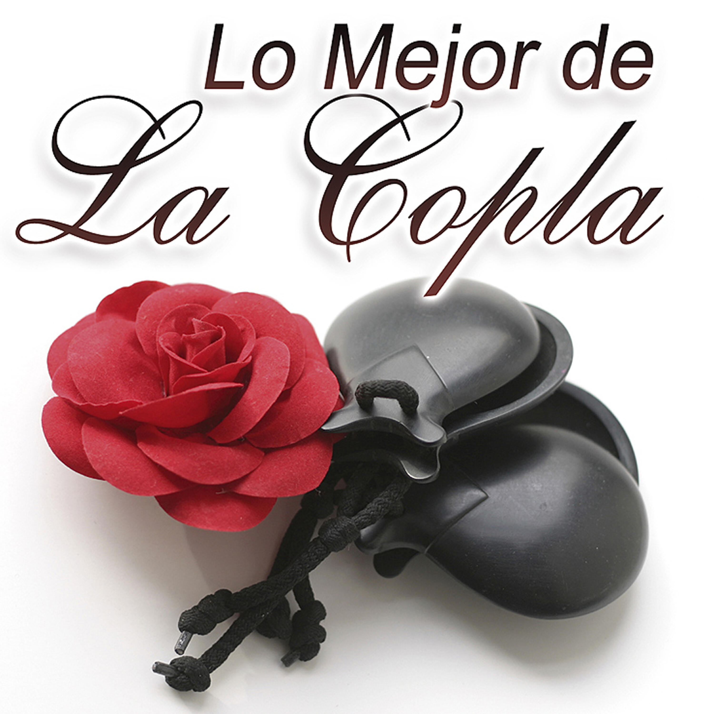 Joselito - El Pajaro Pinto
