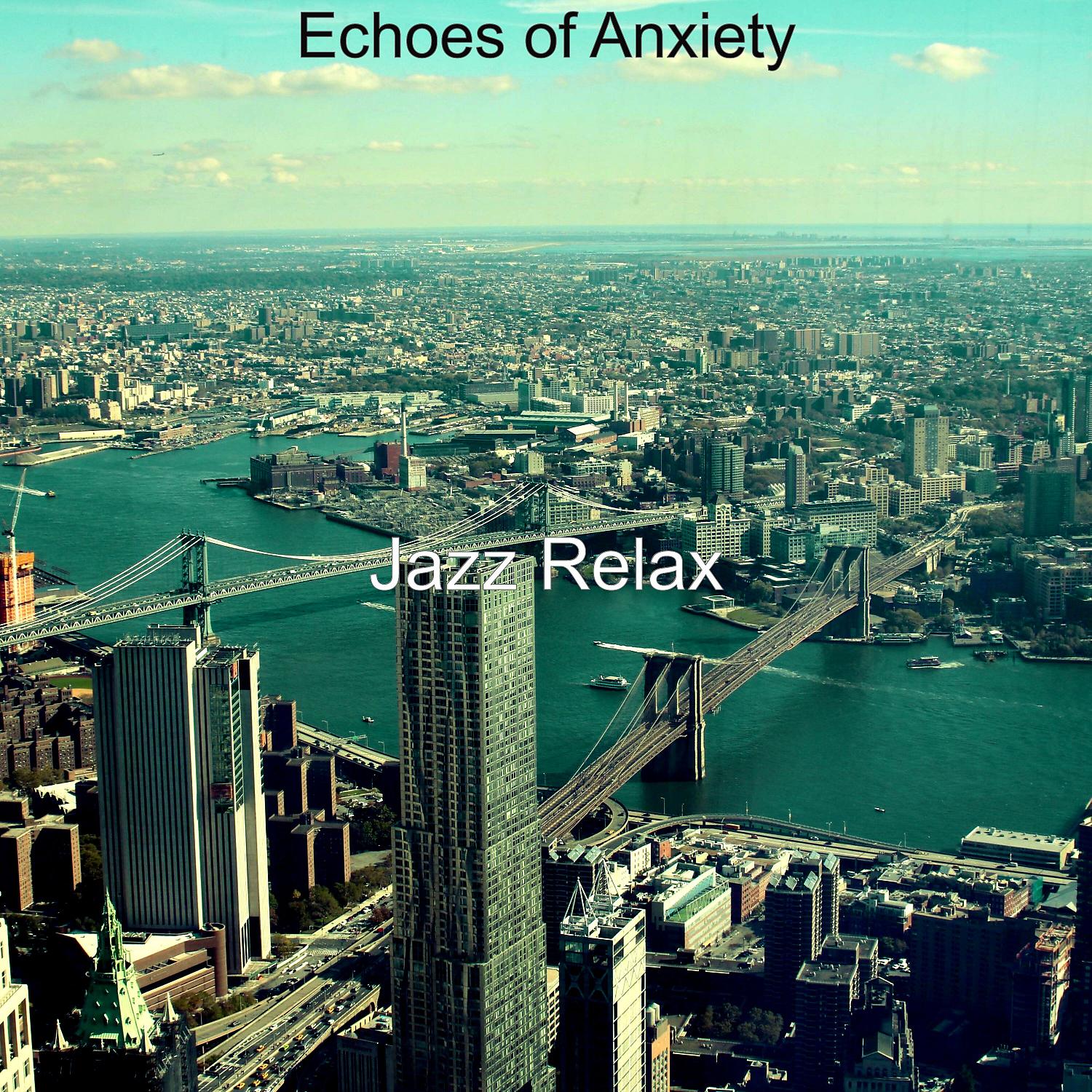 Постер альбома Echoes of Anxiety