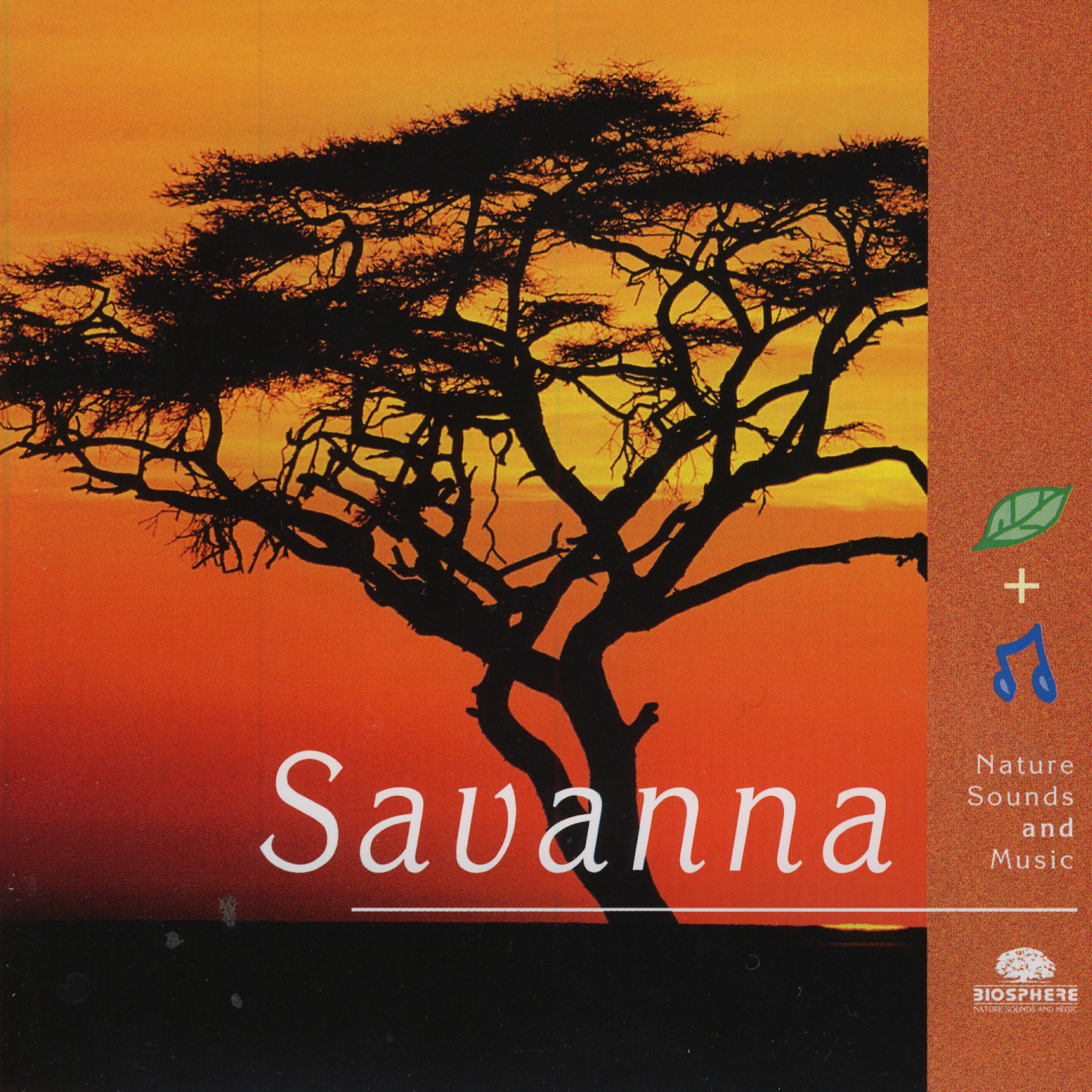 Постер альбома Savanna