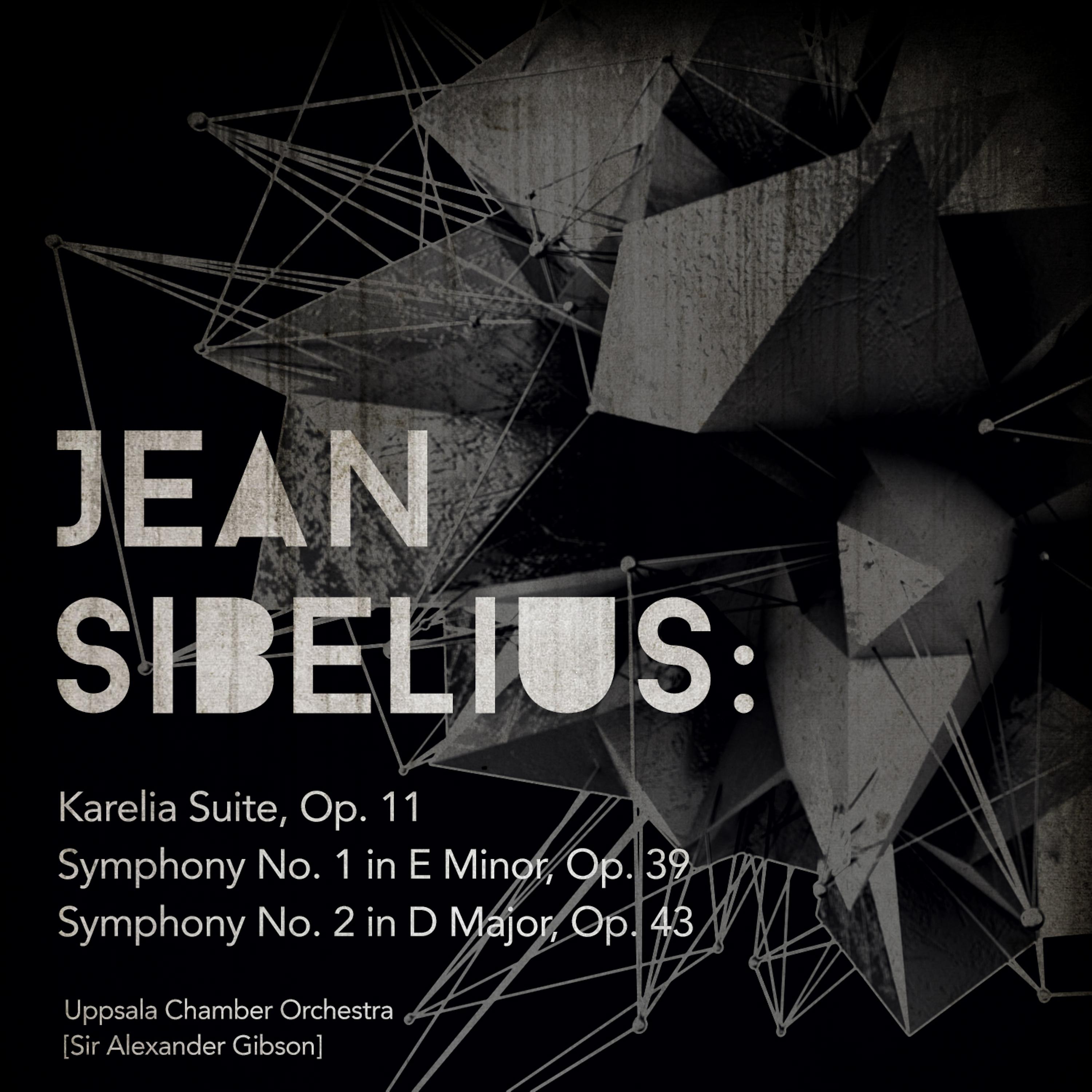 Uppsala Chamber Orchestra - Symphony No. 1 in E Minor, Op. 39: II. Andante (Ma non troppo lento)
