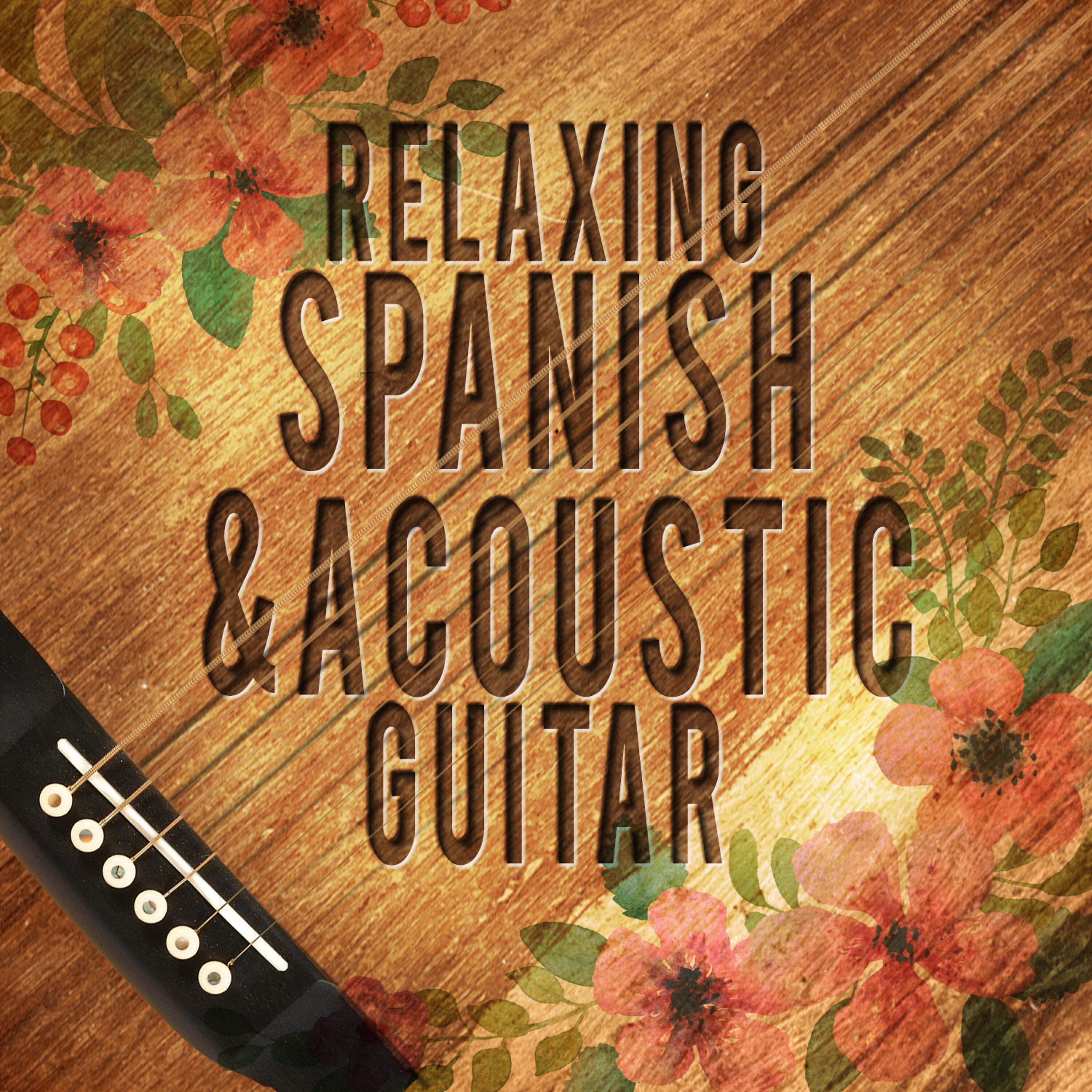 Visual Works - Romanza Guitarras