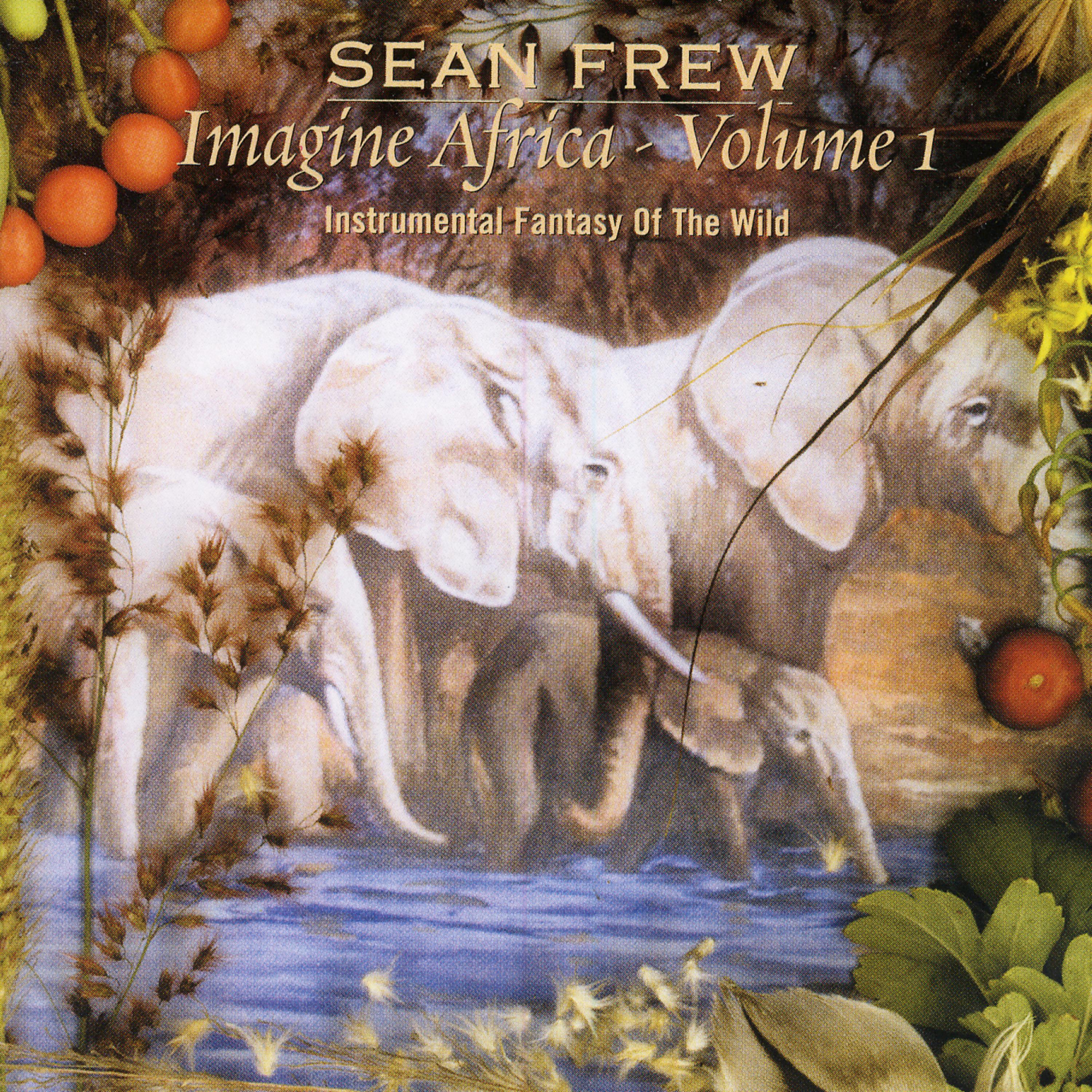 Постер альбома Imagine Africa- Vol 1 (Instrumental Fantasy Of The Wild)
