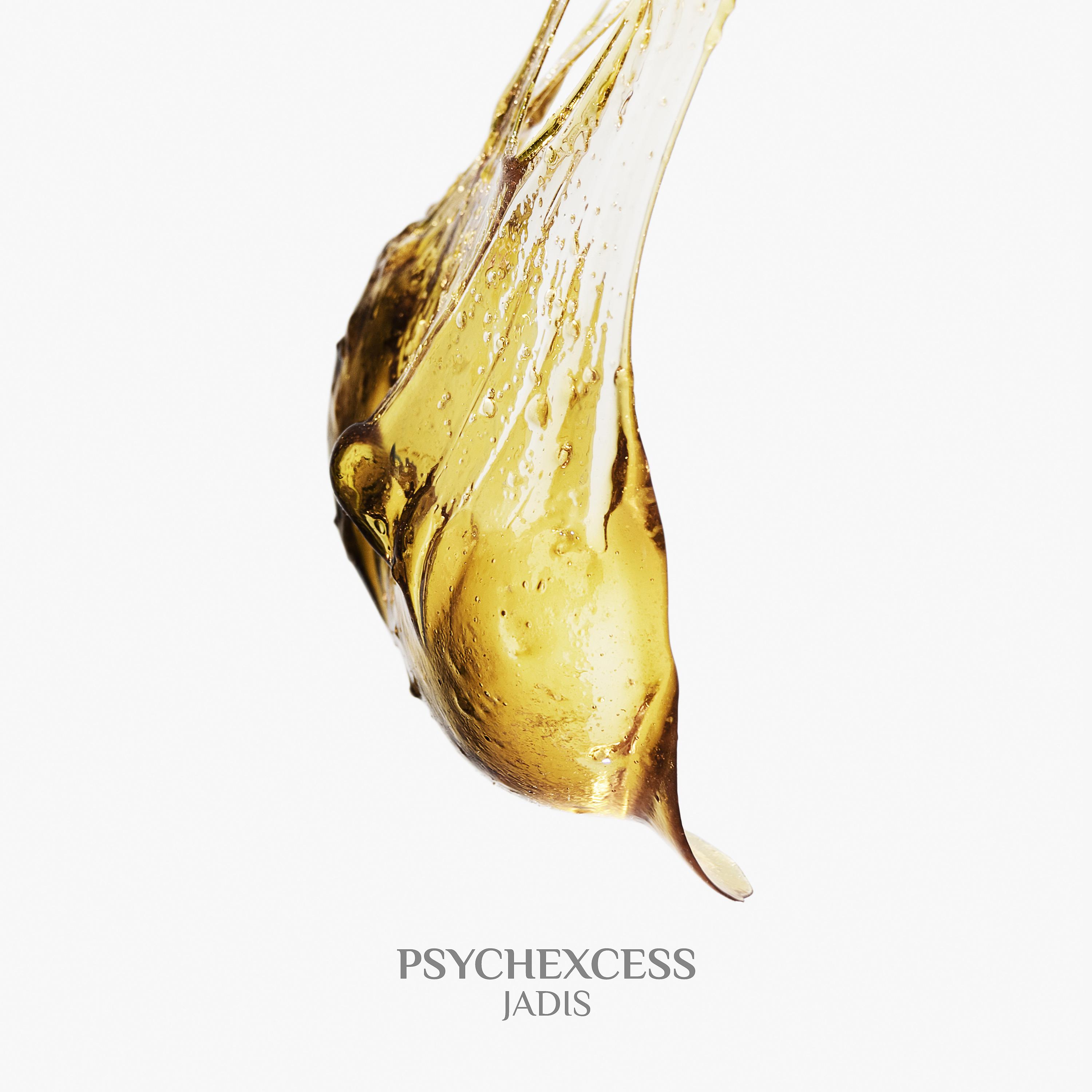 Постер альбома Psychexcess - Jadis