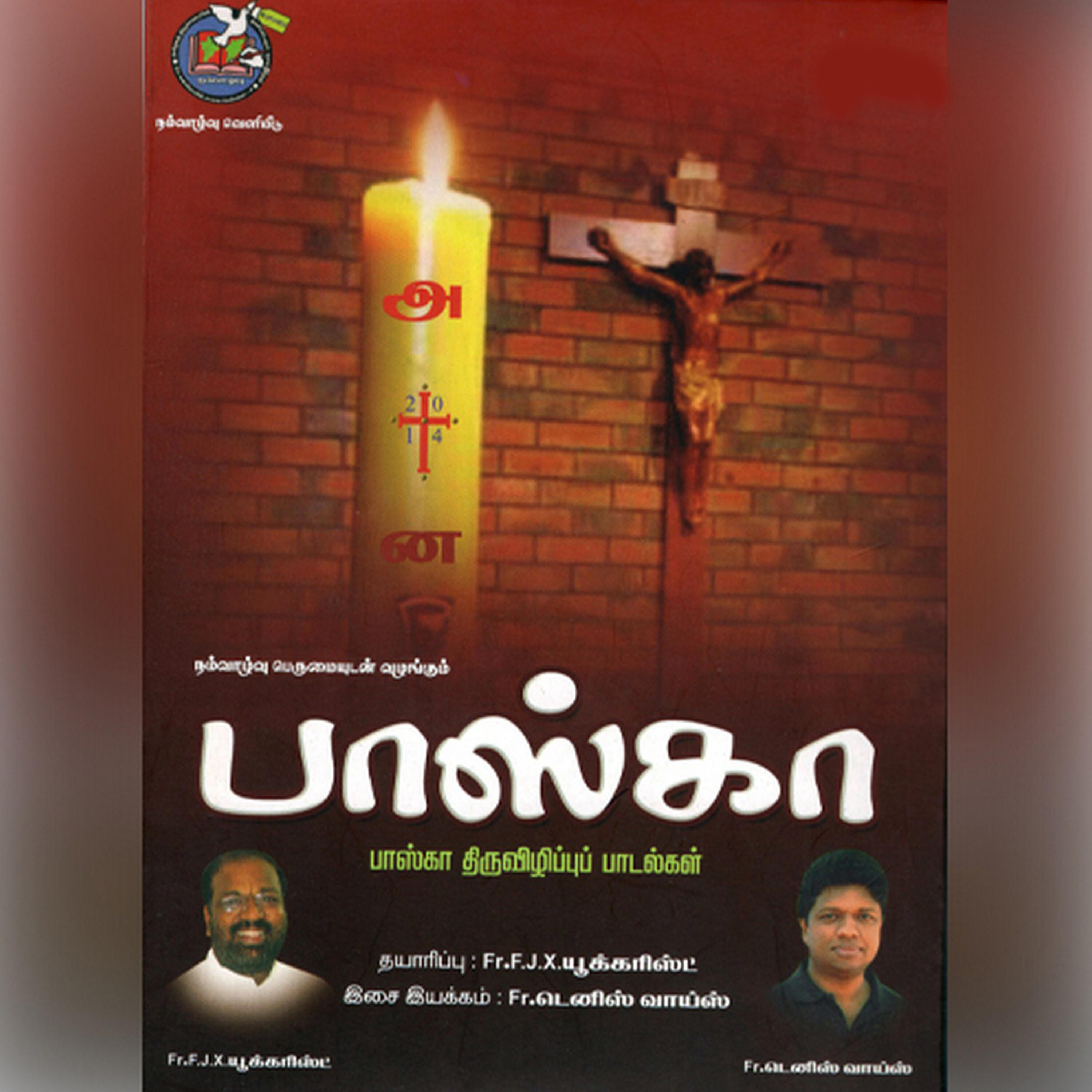 Krishna Raj - Pudhupiththidum