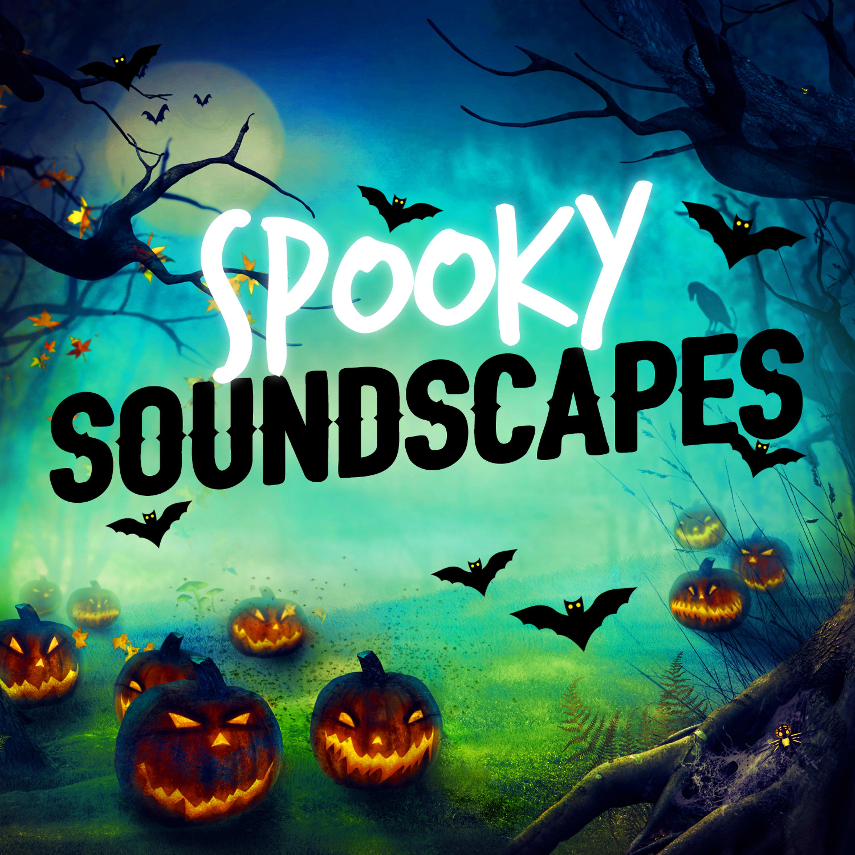Постер альбома Spooky Soundscapes