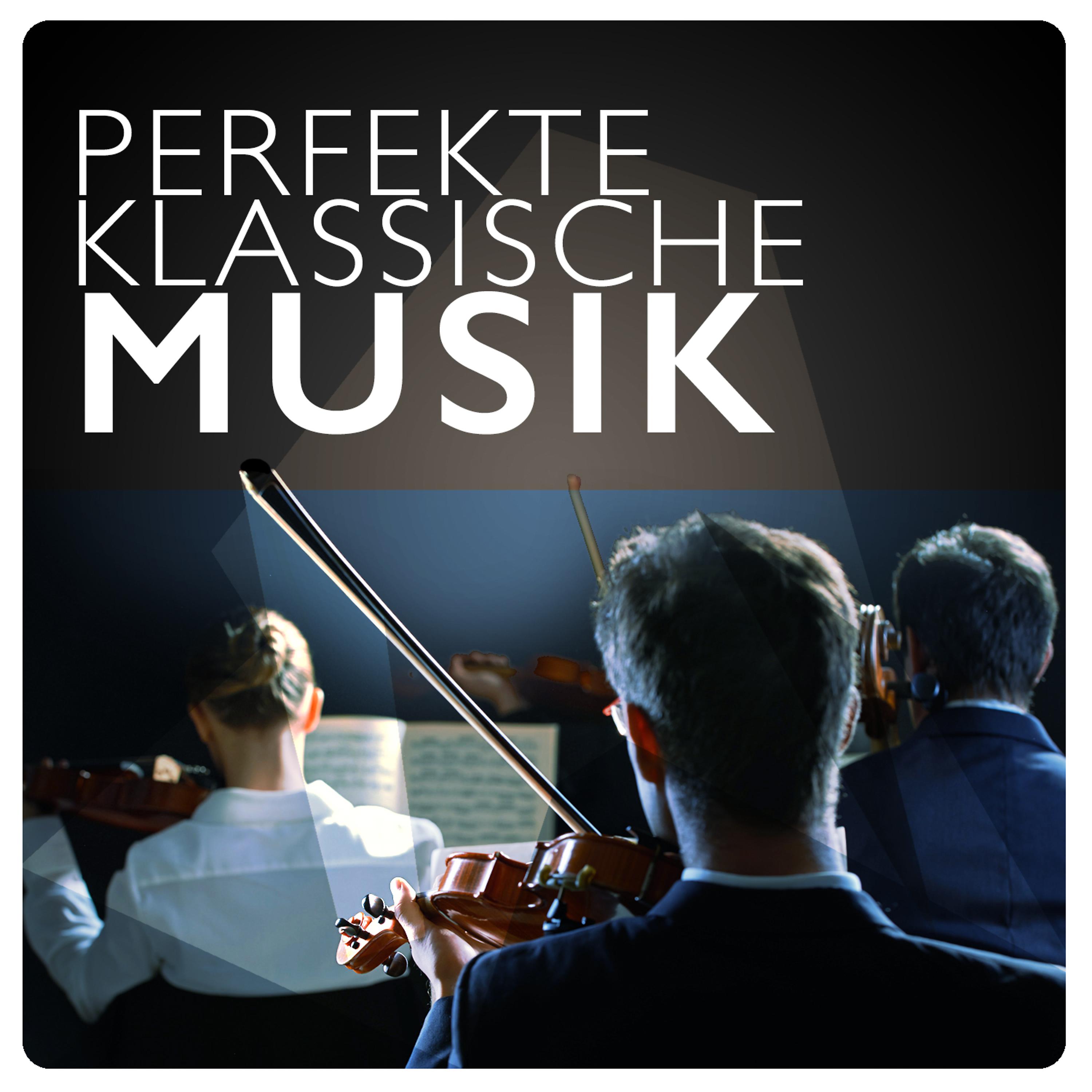 Постер альбома Perfekte Klassische Musik
